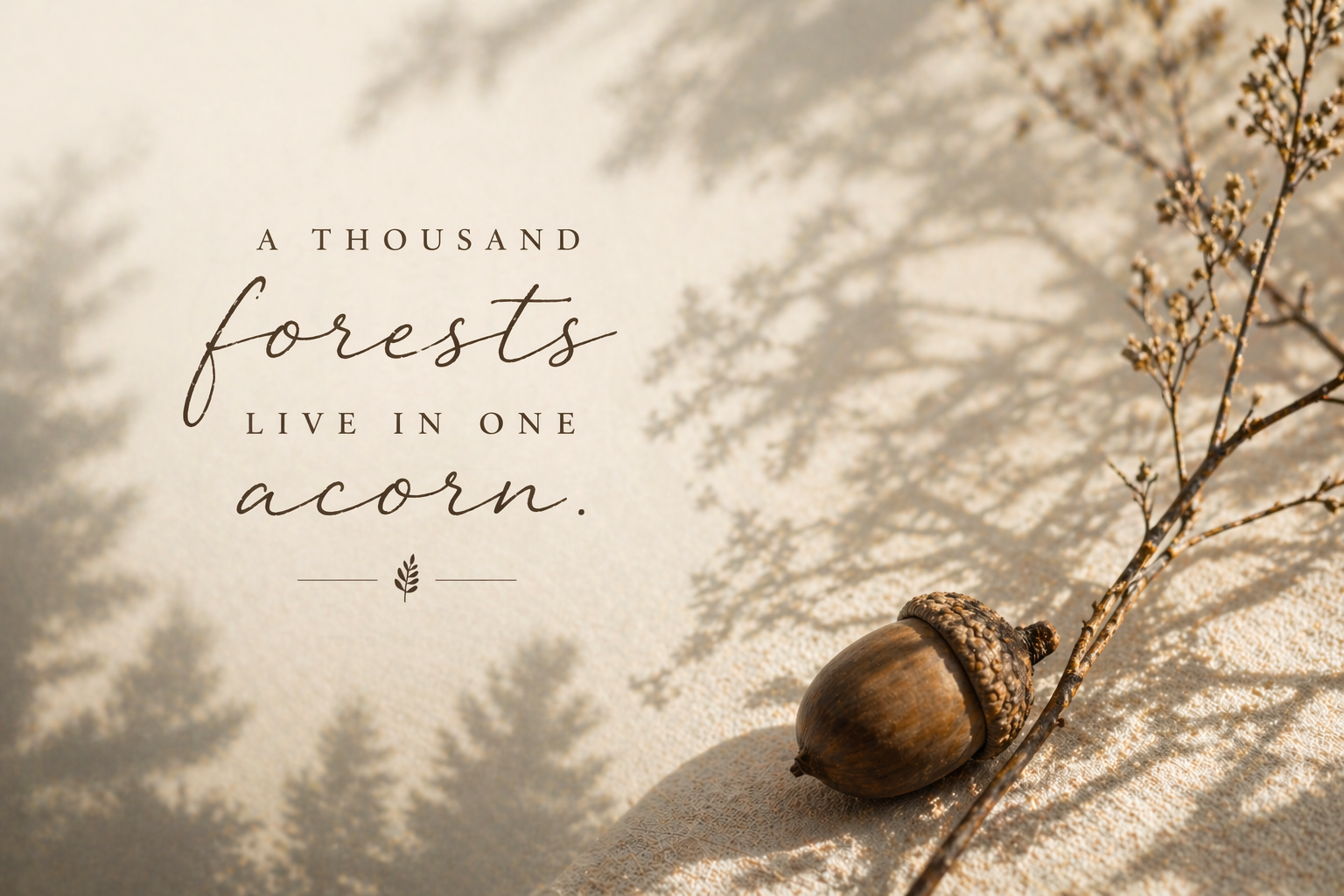 Enough to Be a Beginning