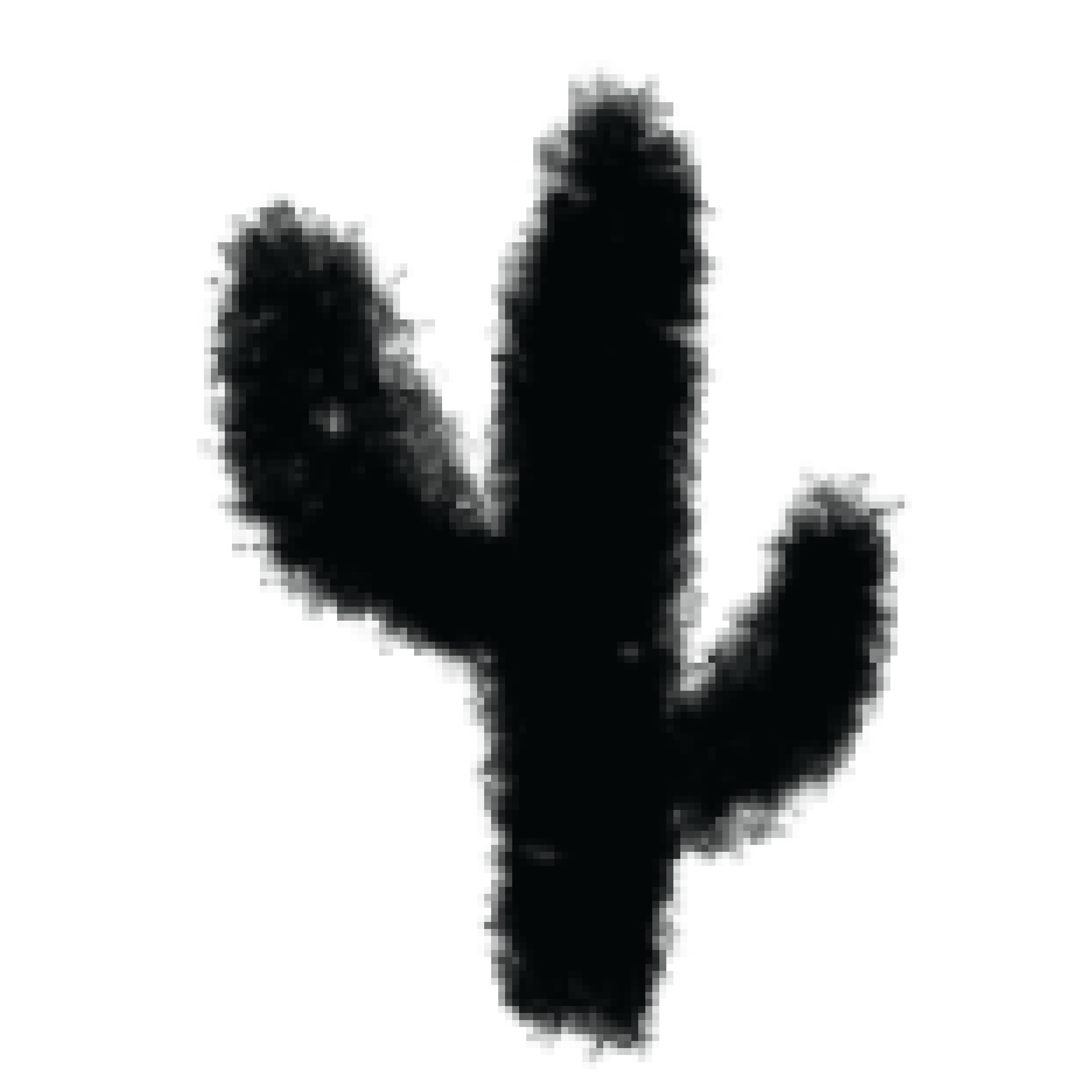 Silhouette en negro de una planta de cactus