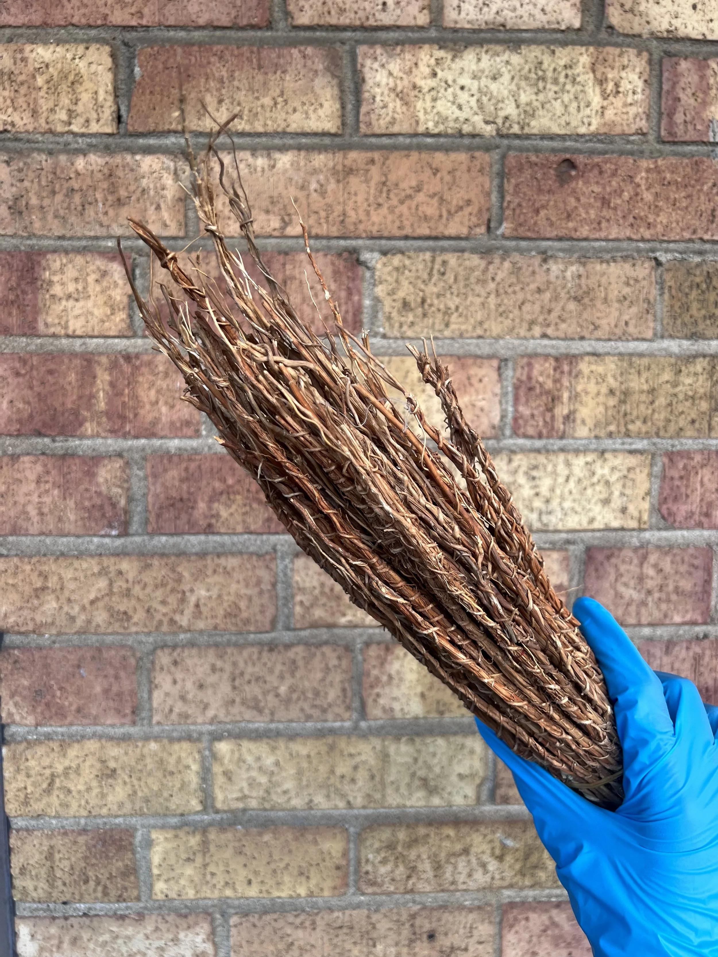 Vetiver Roots - Khamare - raw.jpg