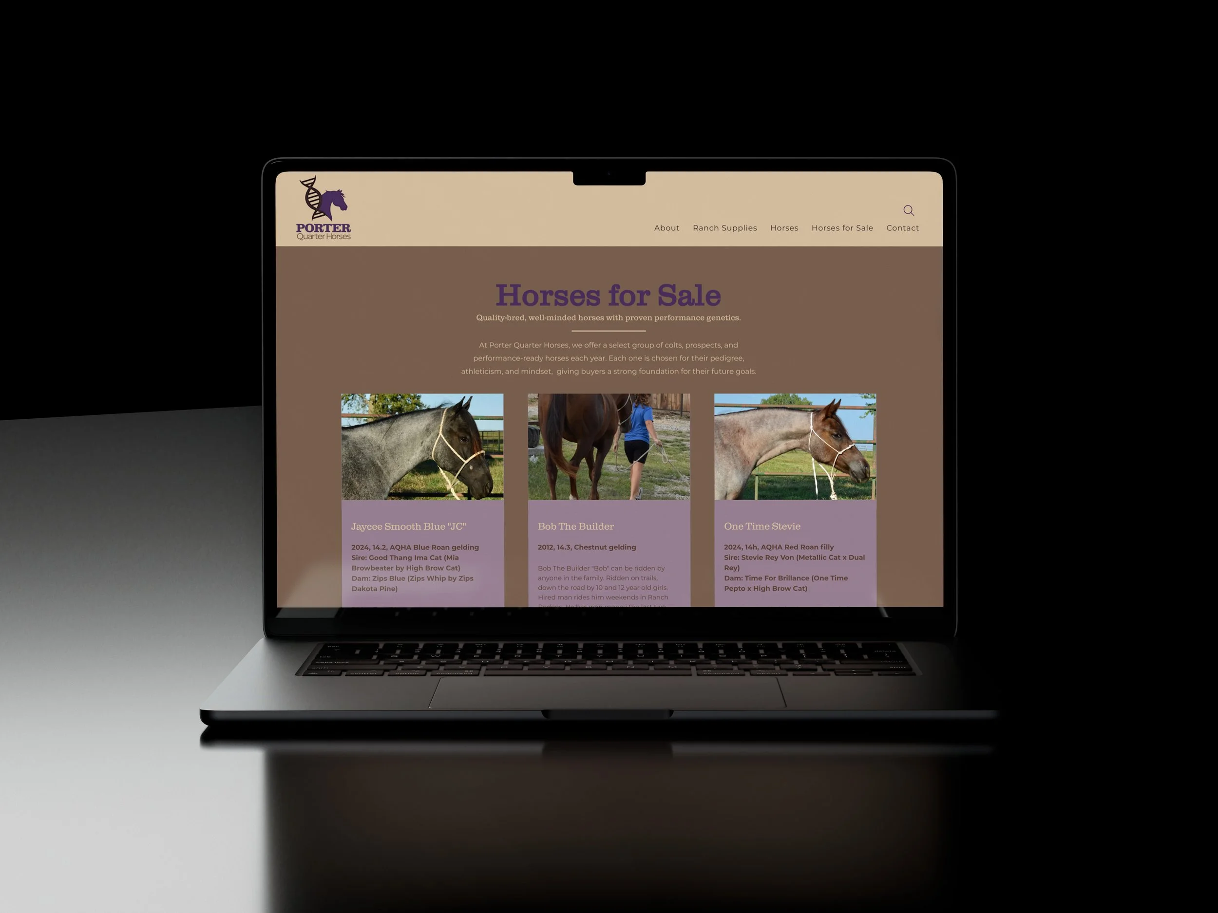 quarter horse website subpage design