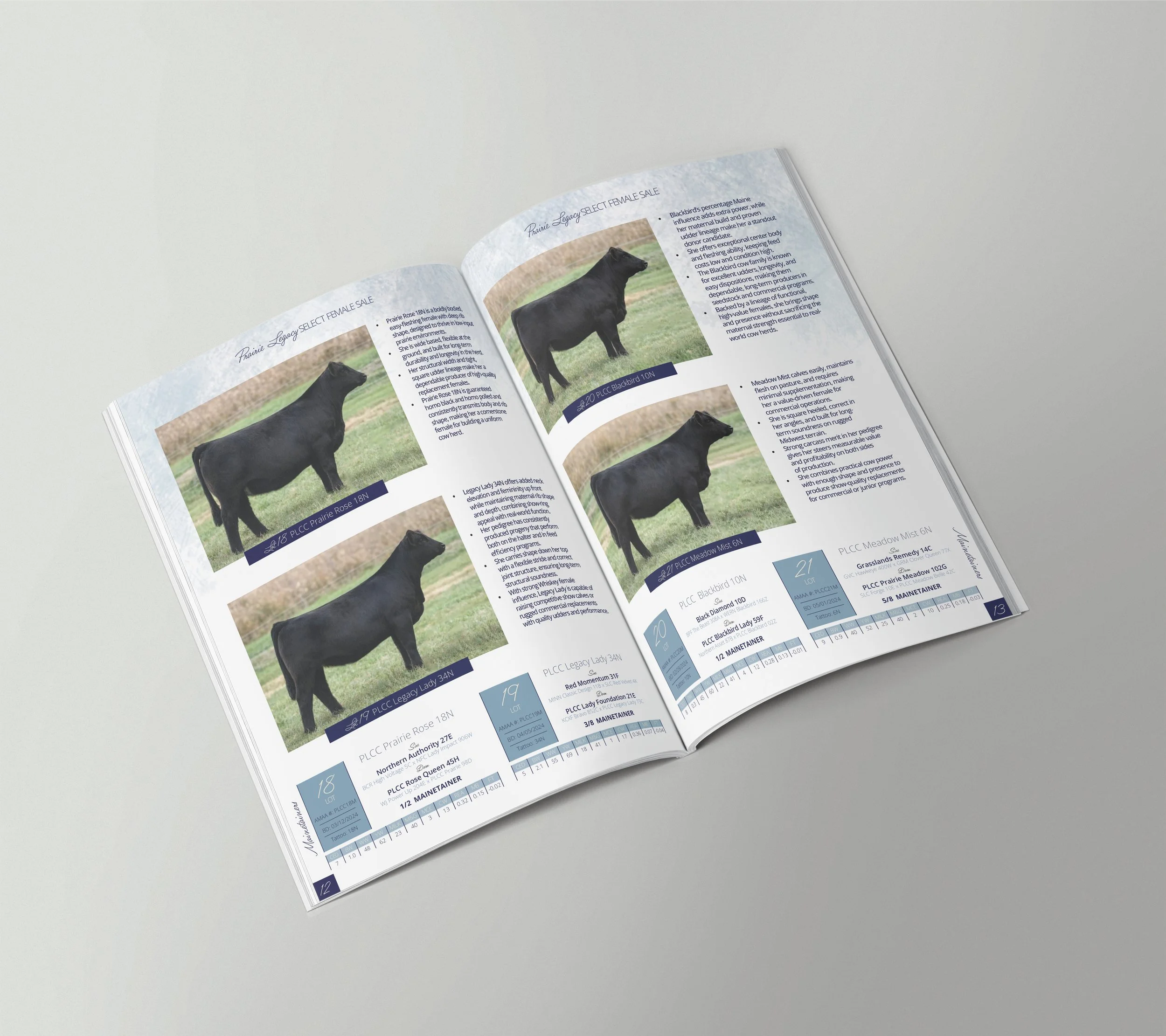 cattle pedigree catalog spread design