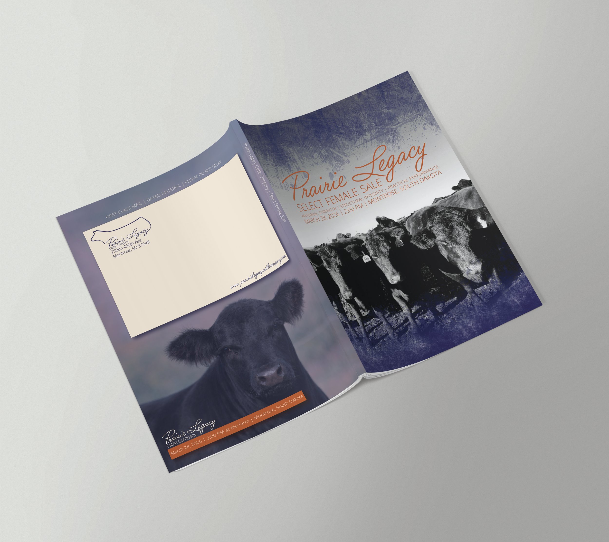 cattle sale catalog cover design