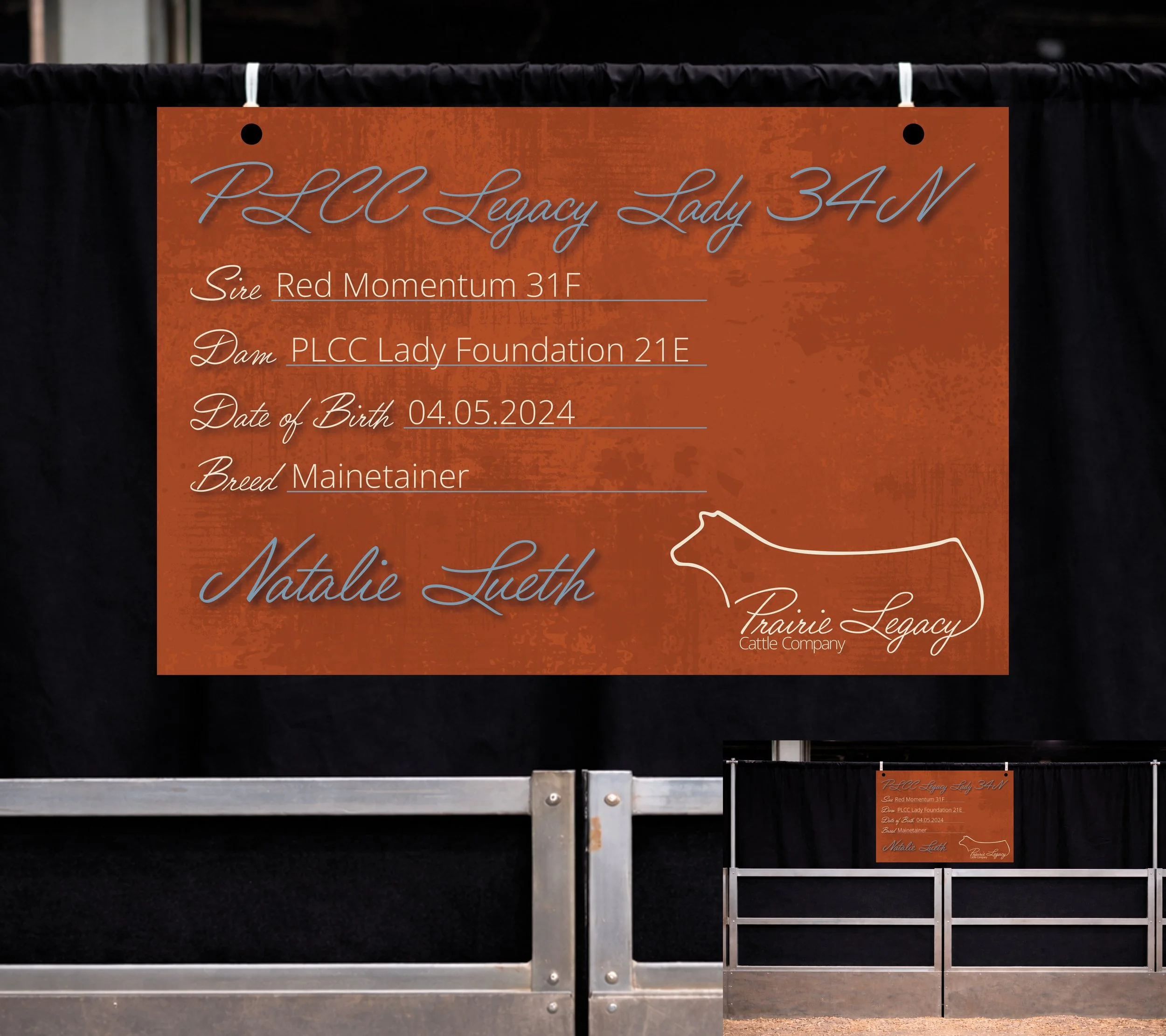 cattle pedigree stall sign layout design