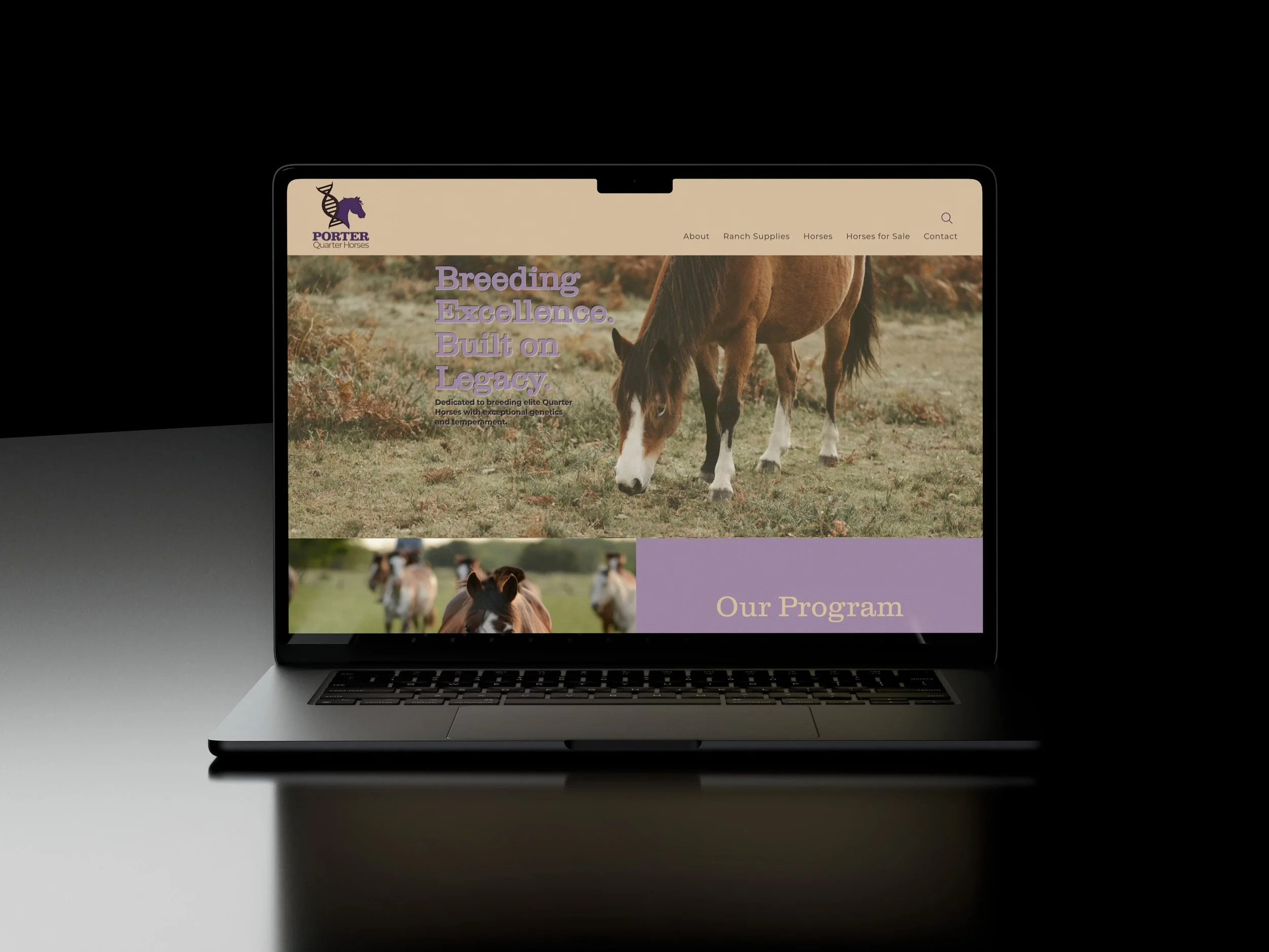 equine business website design layout