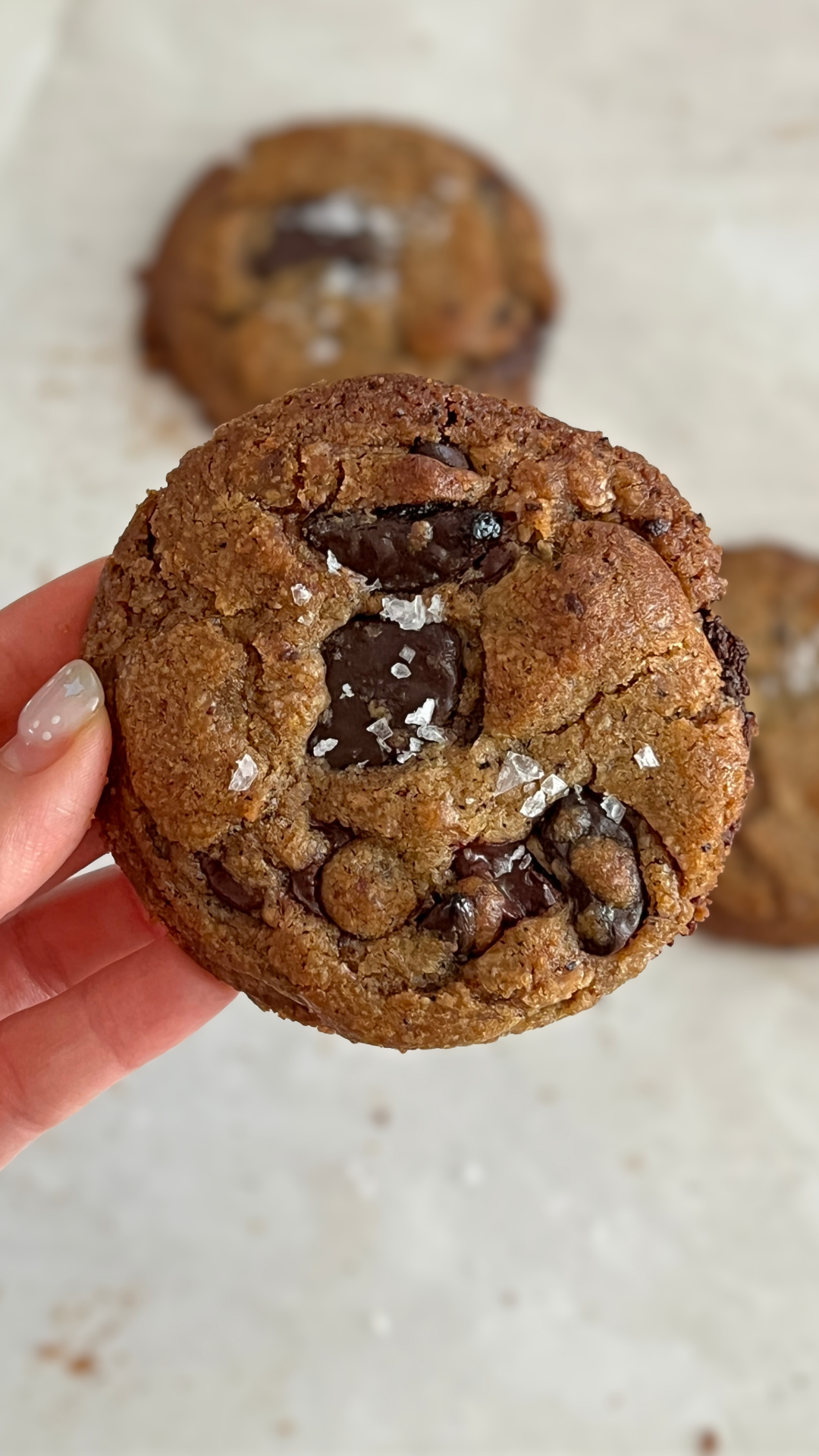 Brown Butter Chocolate Chip Cookie (Thin)