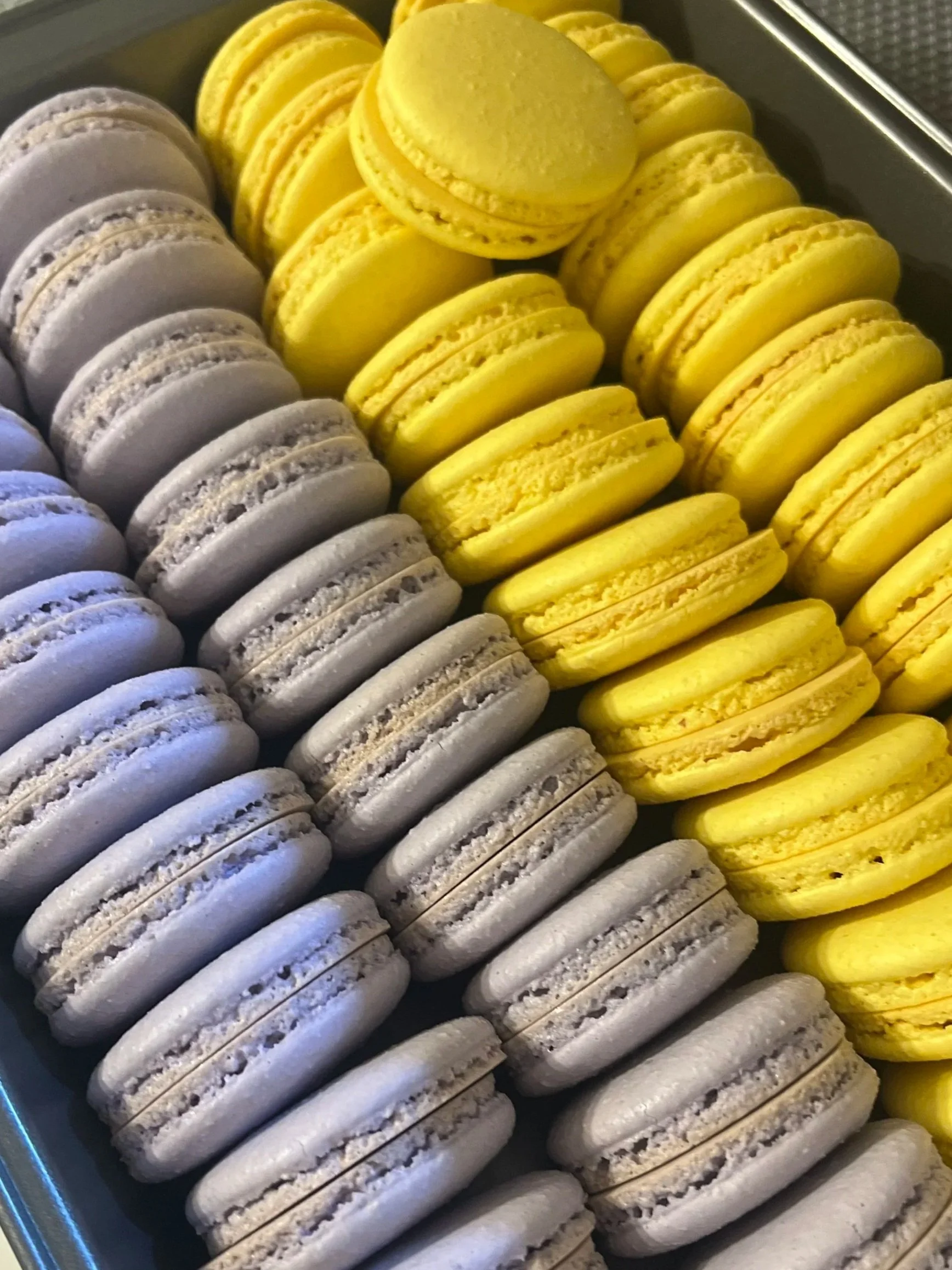 Multiple rows of colorful macarons, with purple and yellow varieties, arranged in an organized display.