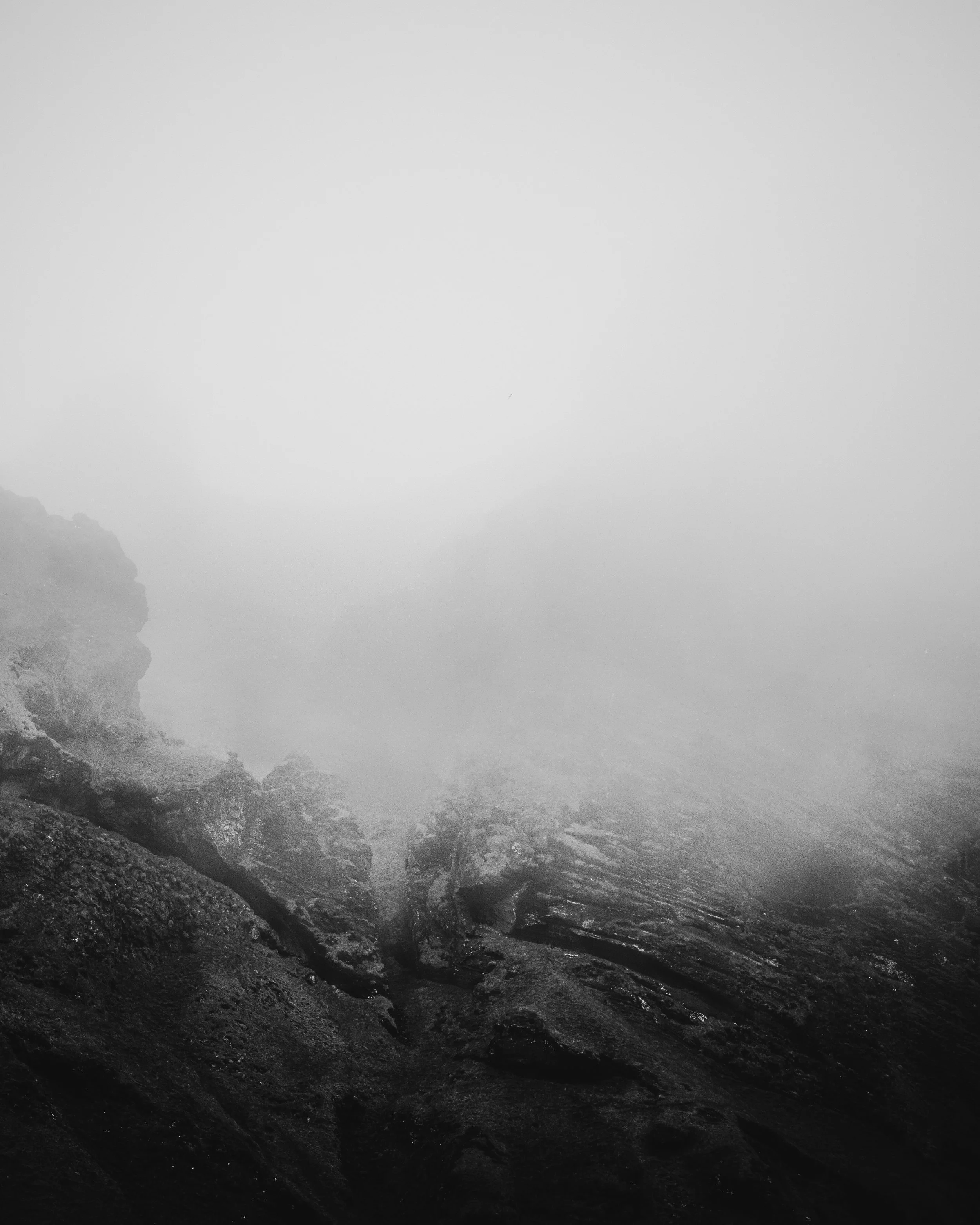 01FA37ED-4977-48AE-A58D-0A0E17BB072A.jpeg
