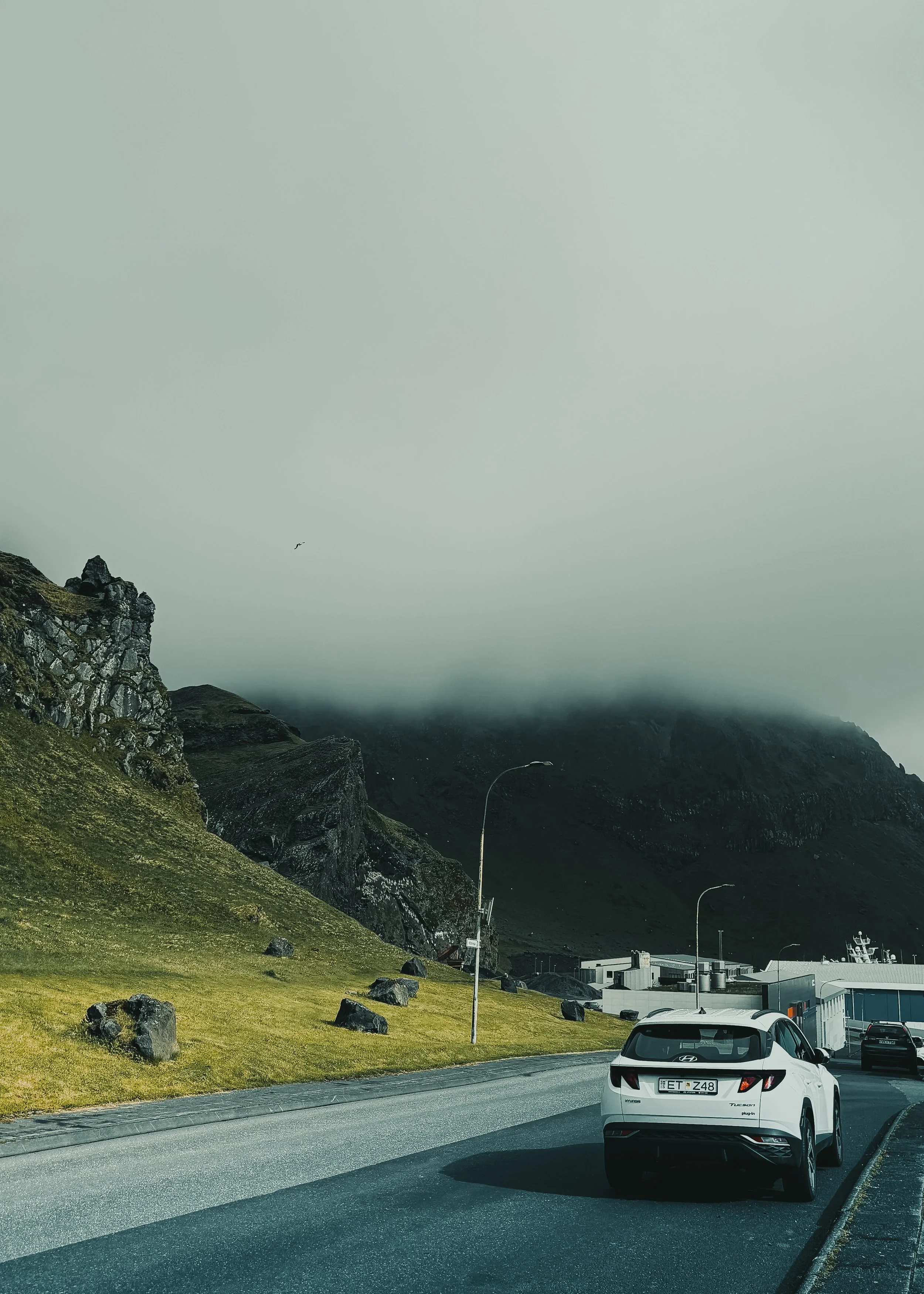 IMG_6069.jpeg