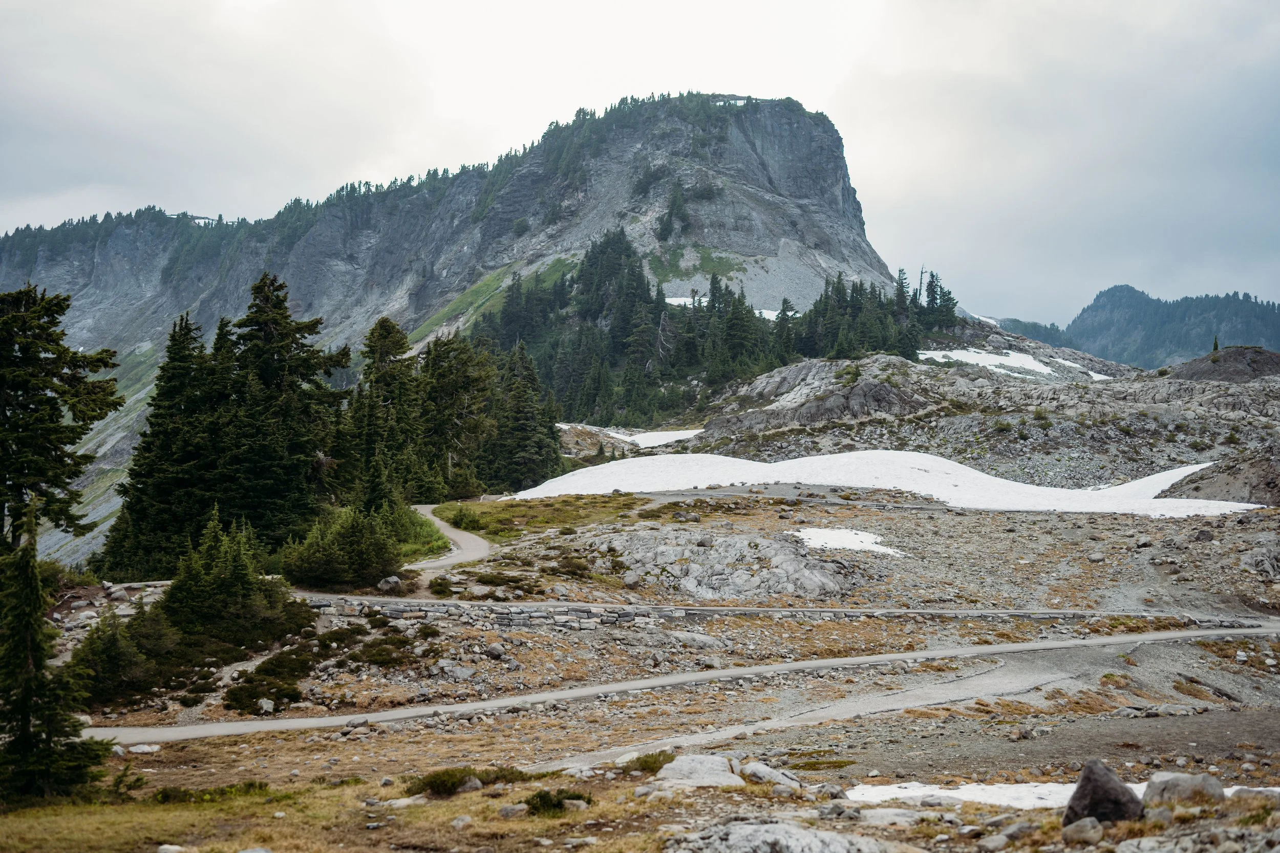 _DSC8734-Edit.jpeg