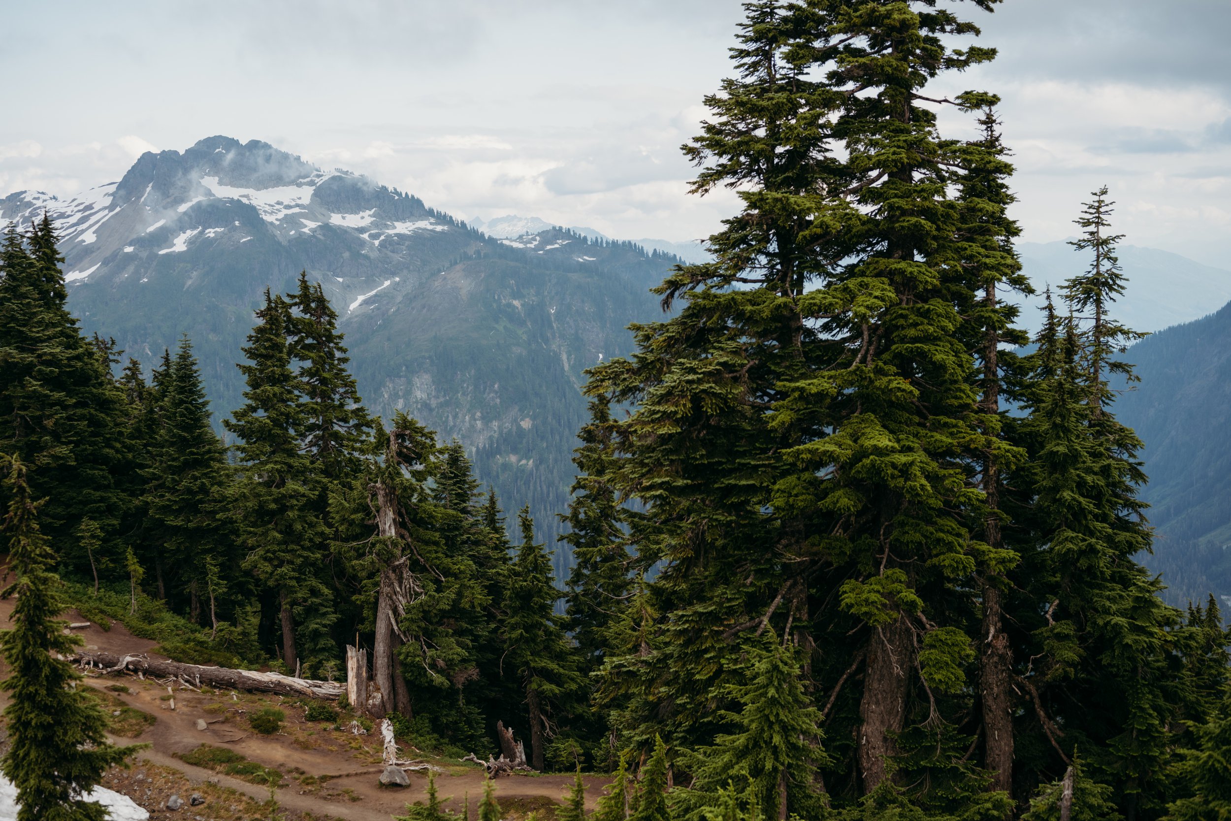 _DSC8395-Edit.jpeg