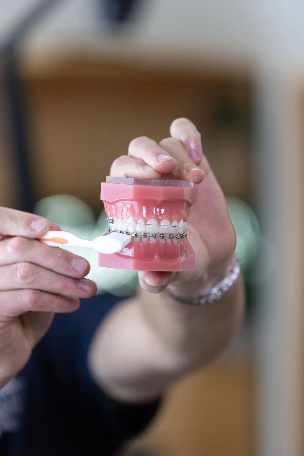 A Idaho Falls Orthodontist holding a dental model with braces, brushing the model's teeth with a toothbrush.
