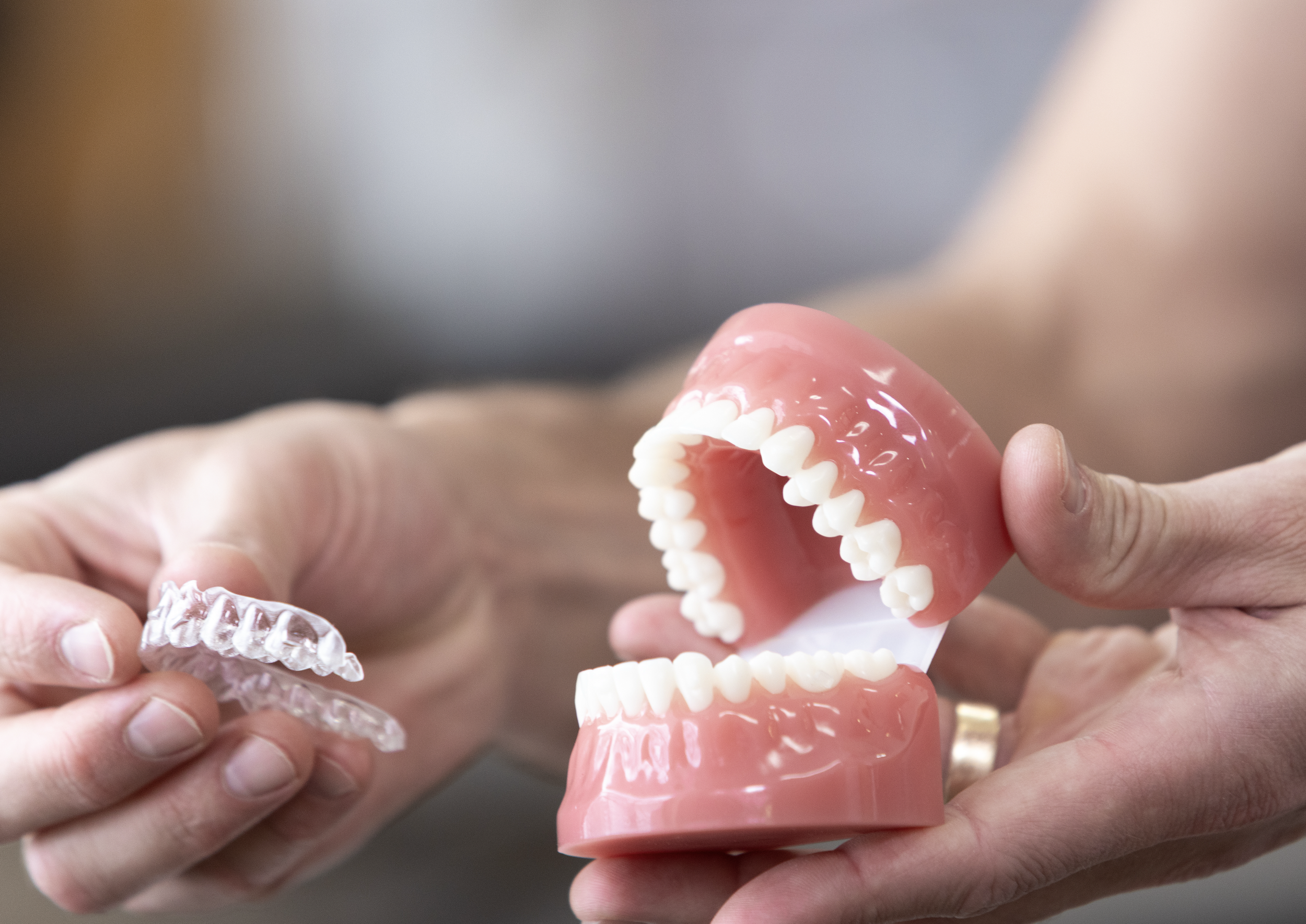 Person holding a large dental model of dentures and a clear aligner.