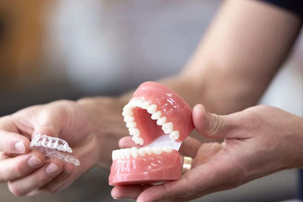 Person holding a set of denture models, demonstrating how the dentures fit in the mouth.