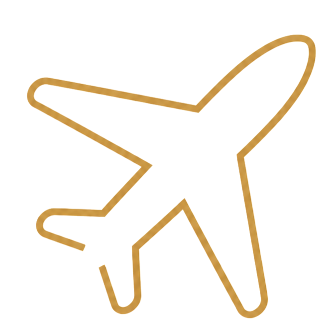 Travel icon