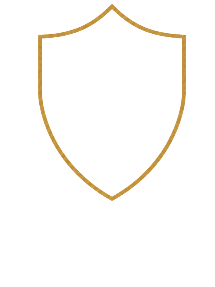 Shield emblem icon