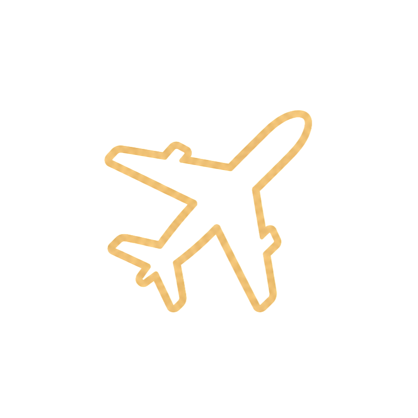 Golden neon outline of an airplane on a white background