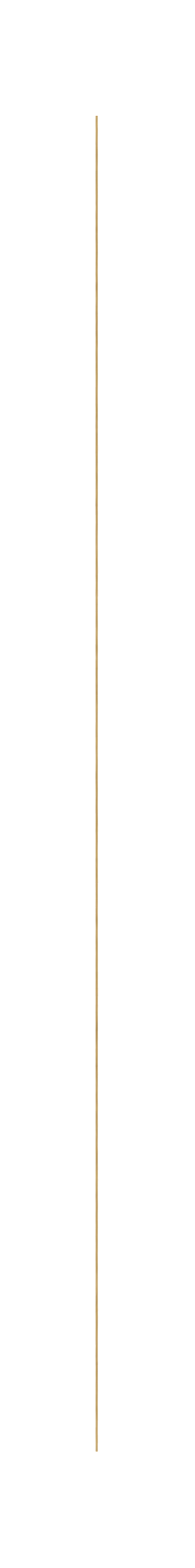 Tall gold-colored object with a thin, elongated shape, possibly a candle or decorative piece.