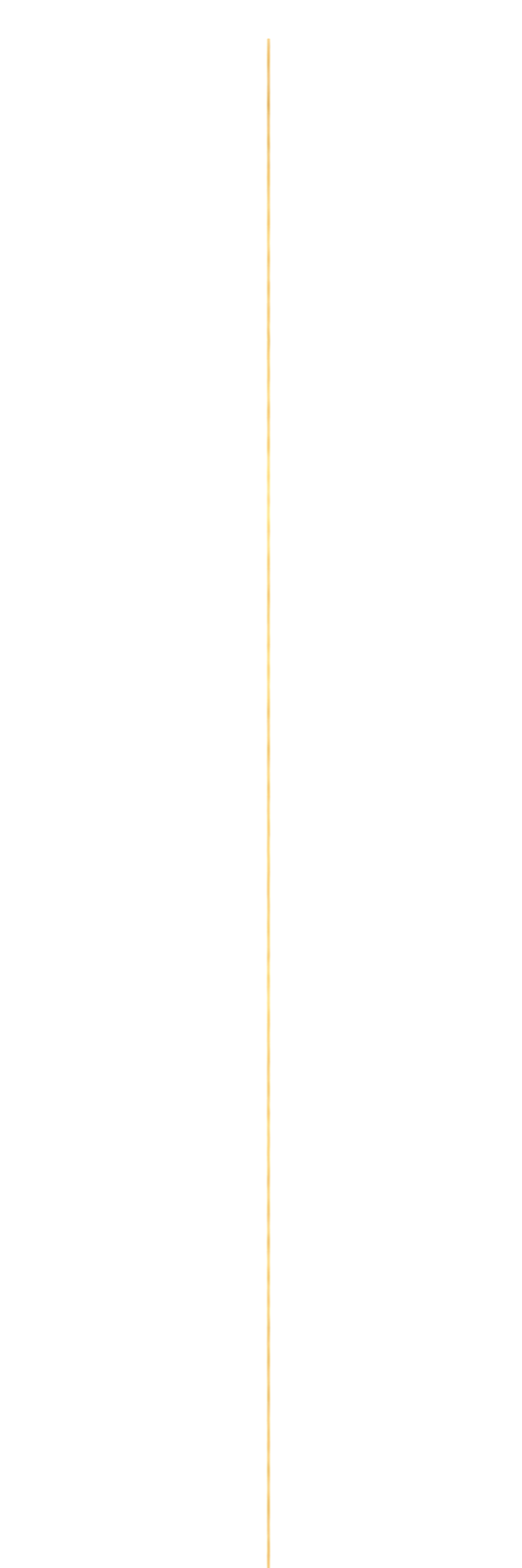 A tall, thin object, likely a birthday candle, with a white exterior and a small orange flame at the top.