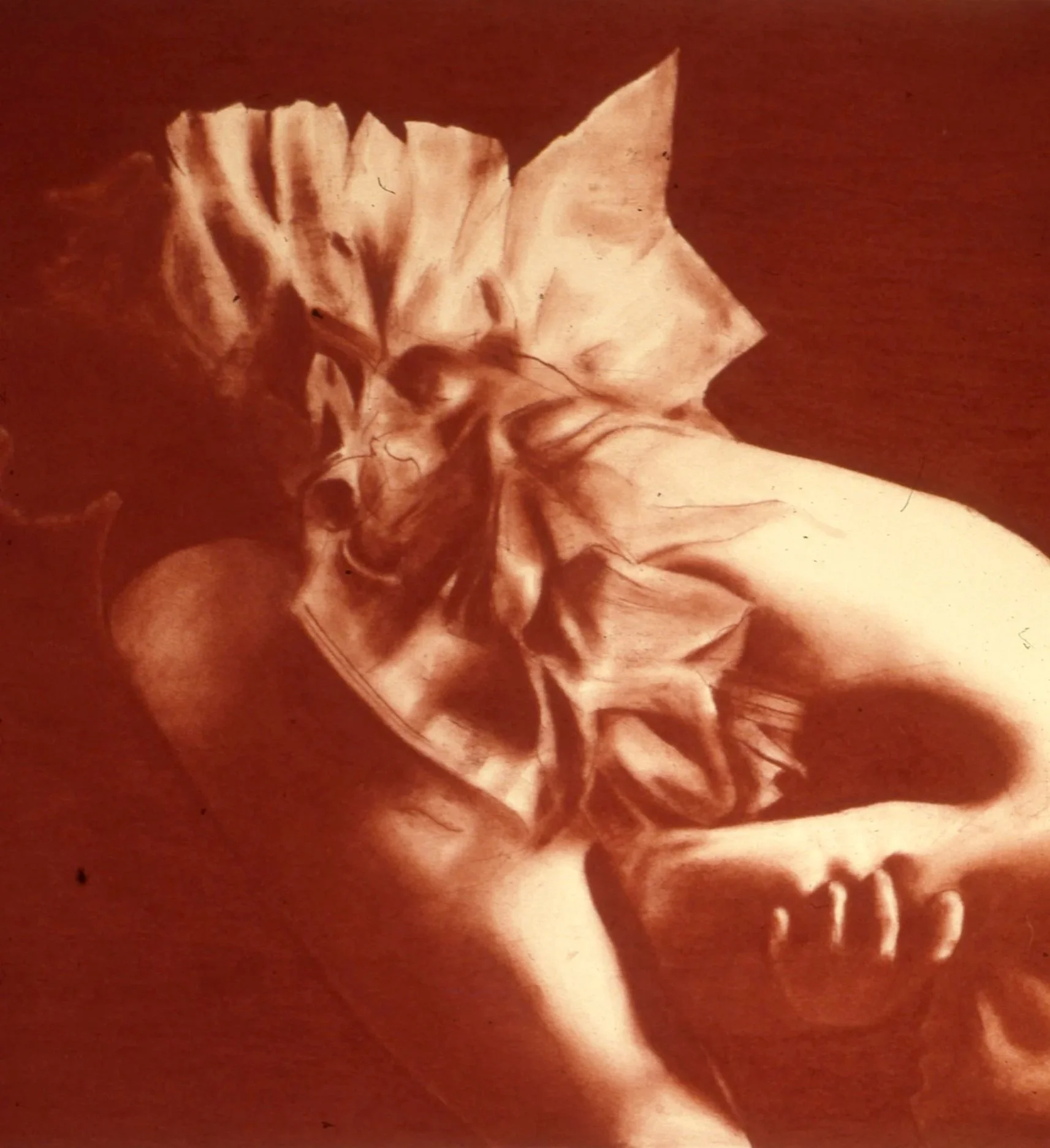 Conte Crayon on Paper 1981