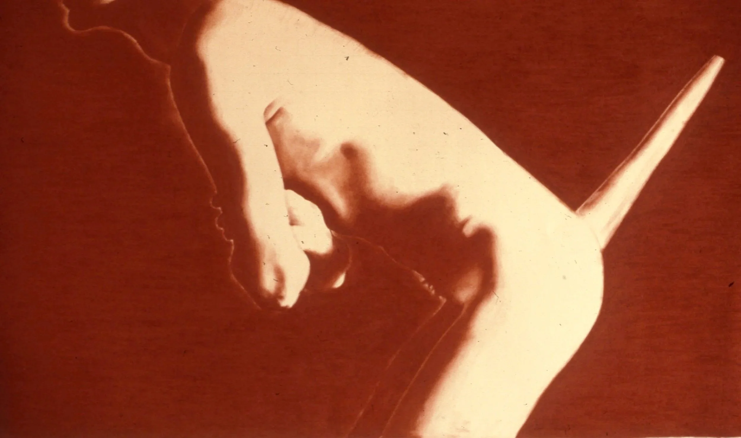 Conte Crayon on Paper 1981
