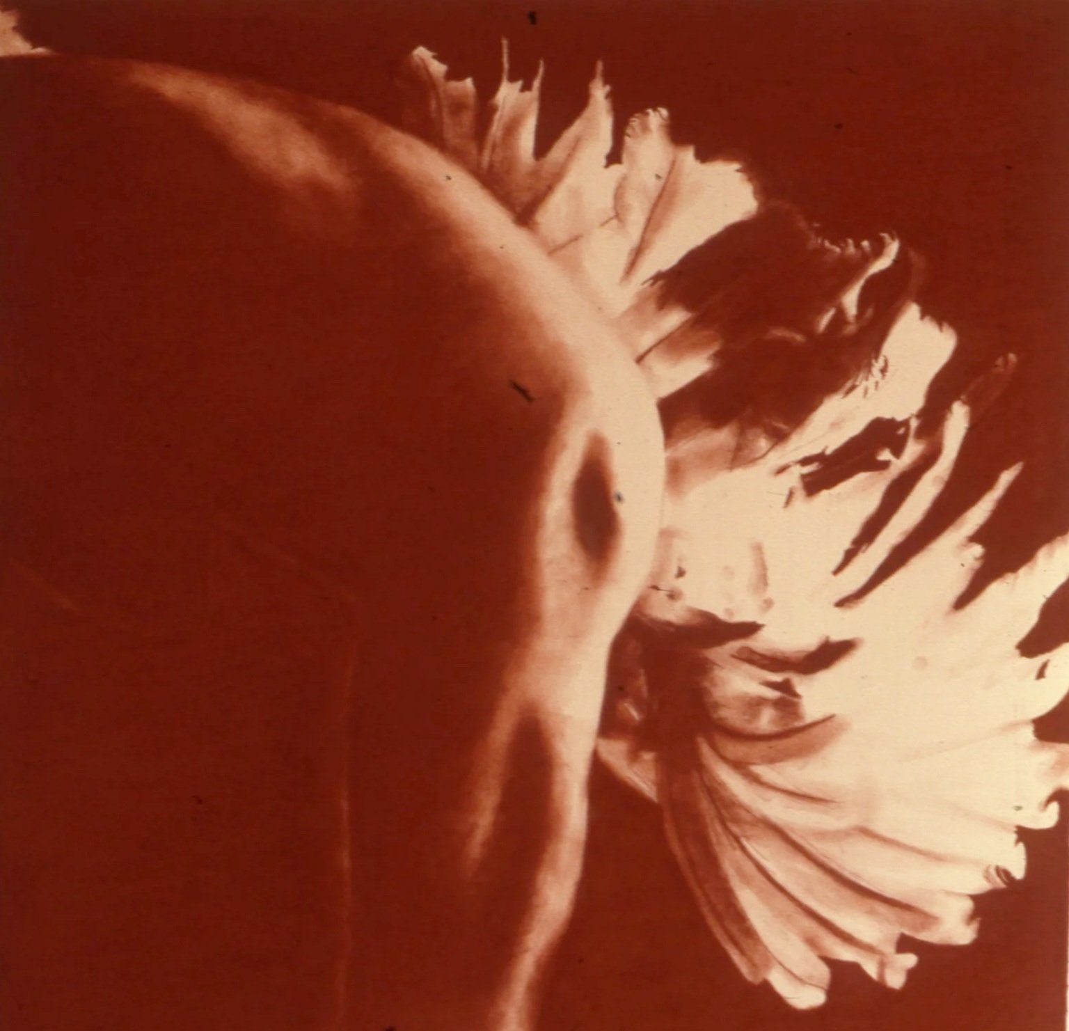 Conte Crayon on Paper 1981