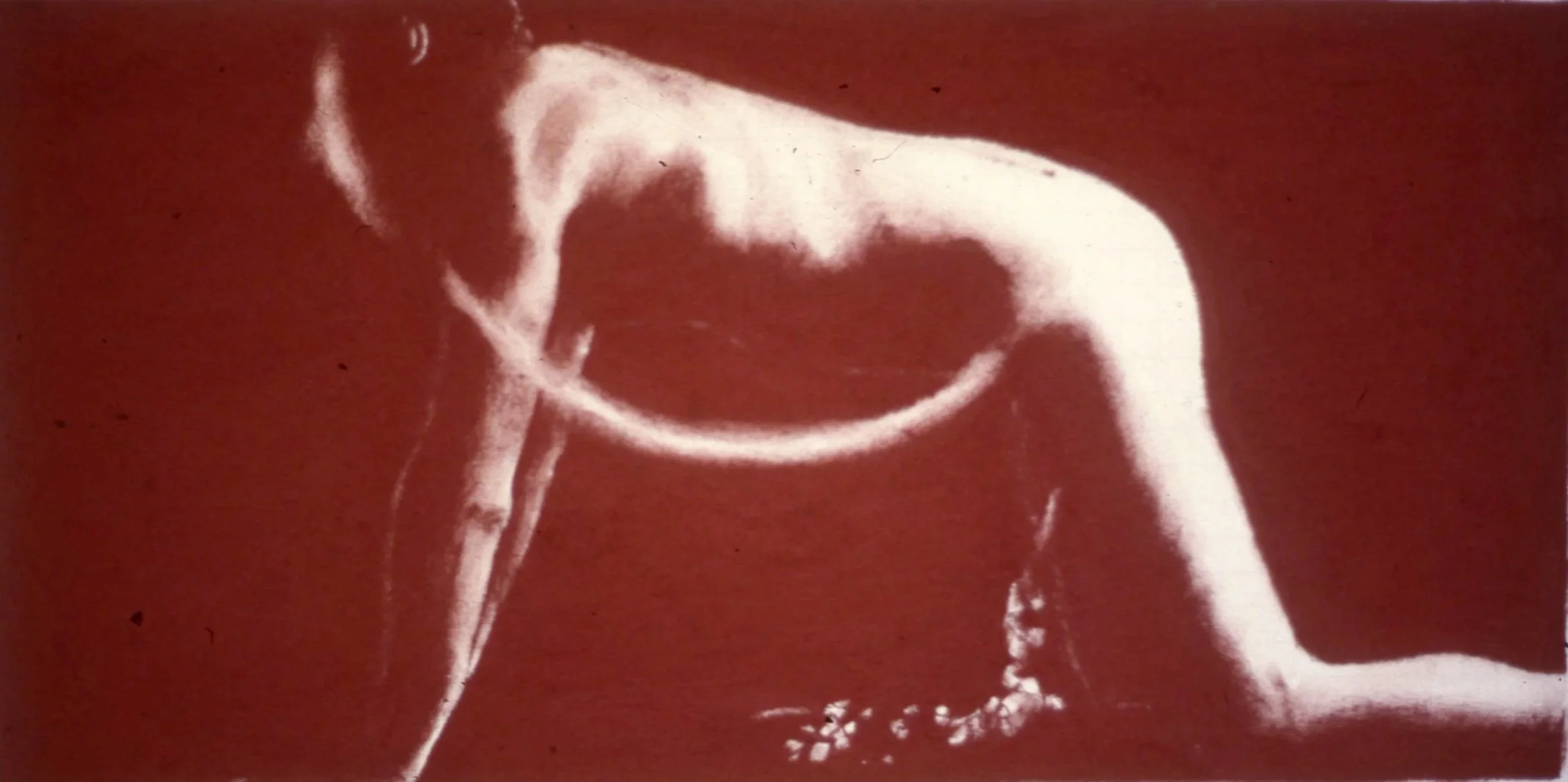 Conte Crayon on Paper 1981