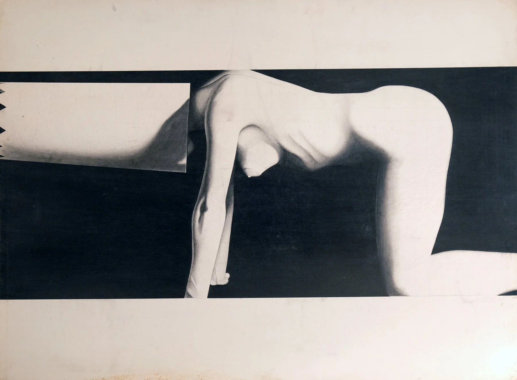 Graphite on Paper 1981