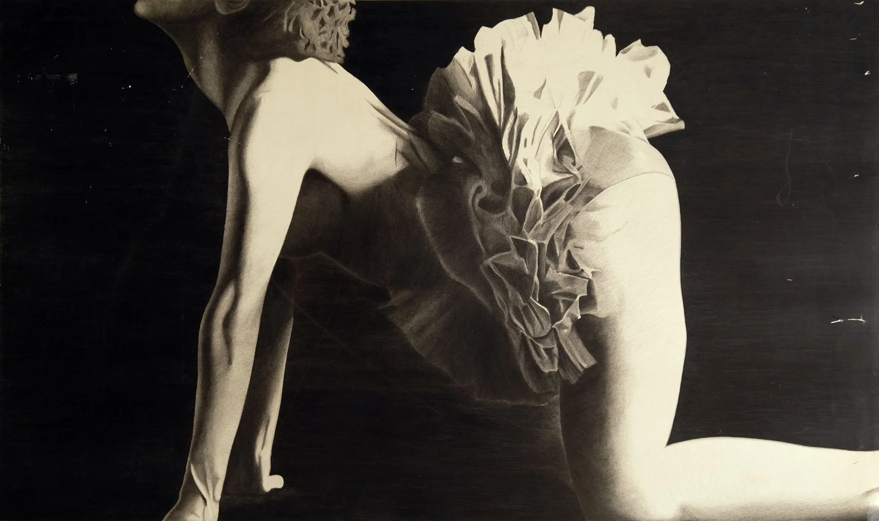 Graphite on Paper 1981