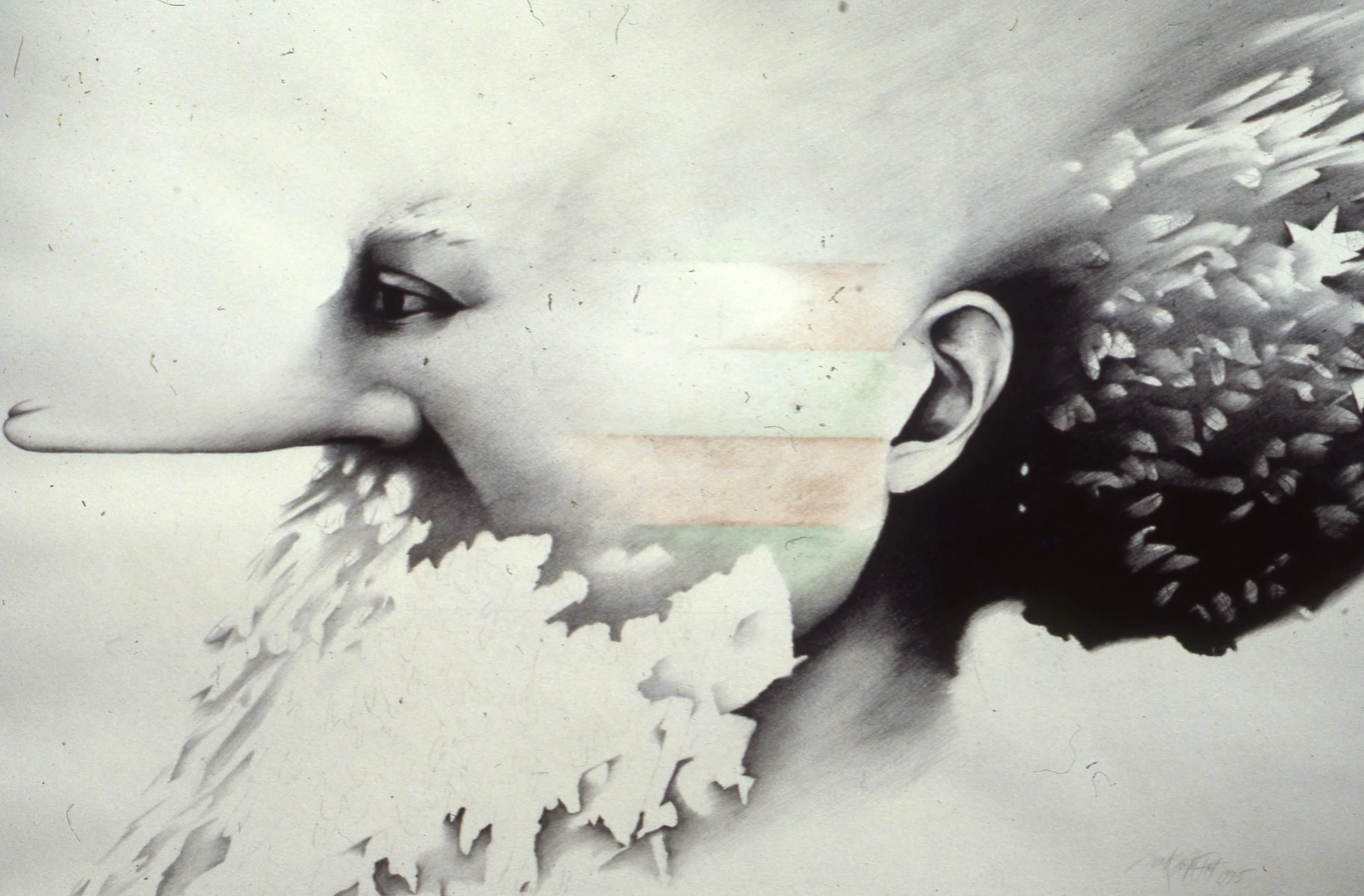 Graphite on Paper 1975