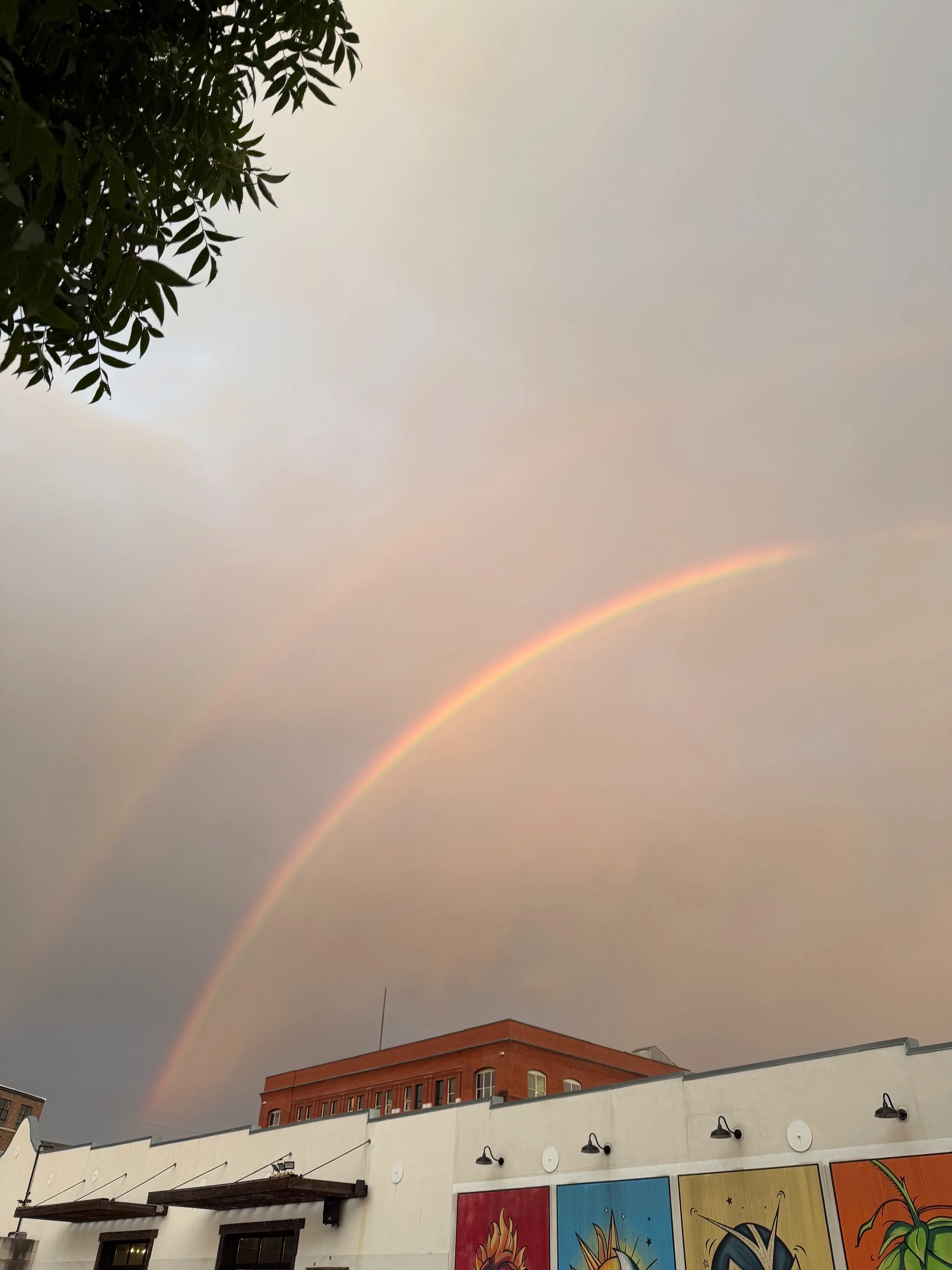 Happy Pride Month! 🌈 We are proud to celebrate our vibrant, diverse community. This month and every month, let&rsquo;s lift each other up, spread kindness, and celebrate the beauty of being exactly who we are. 

Here&rsquo;s to loving and supporting