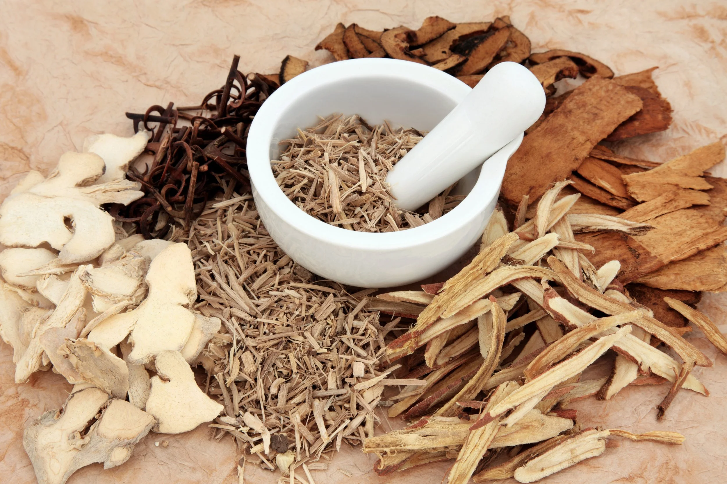 A white mortar and pestle filled with dried Chinese herbal cuttings surrounded by various dried herbs and roots on a beige surface.