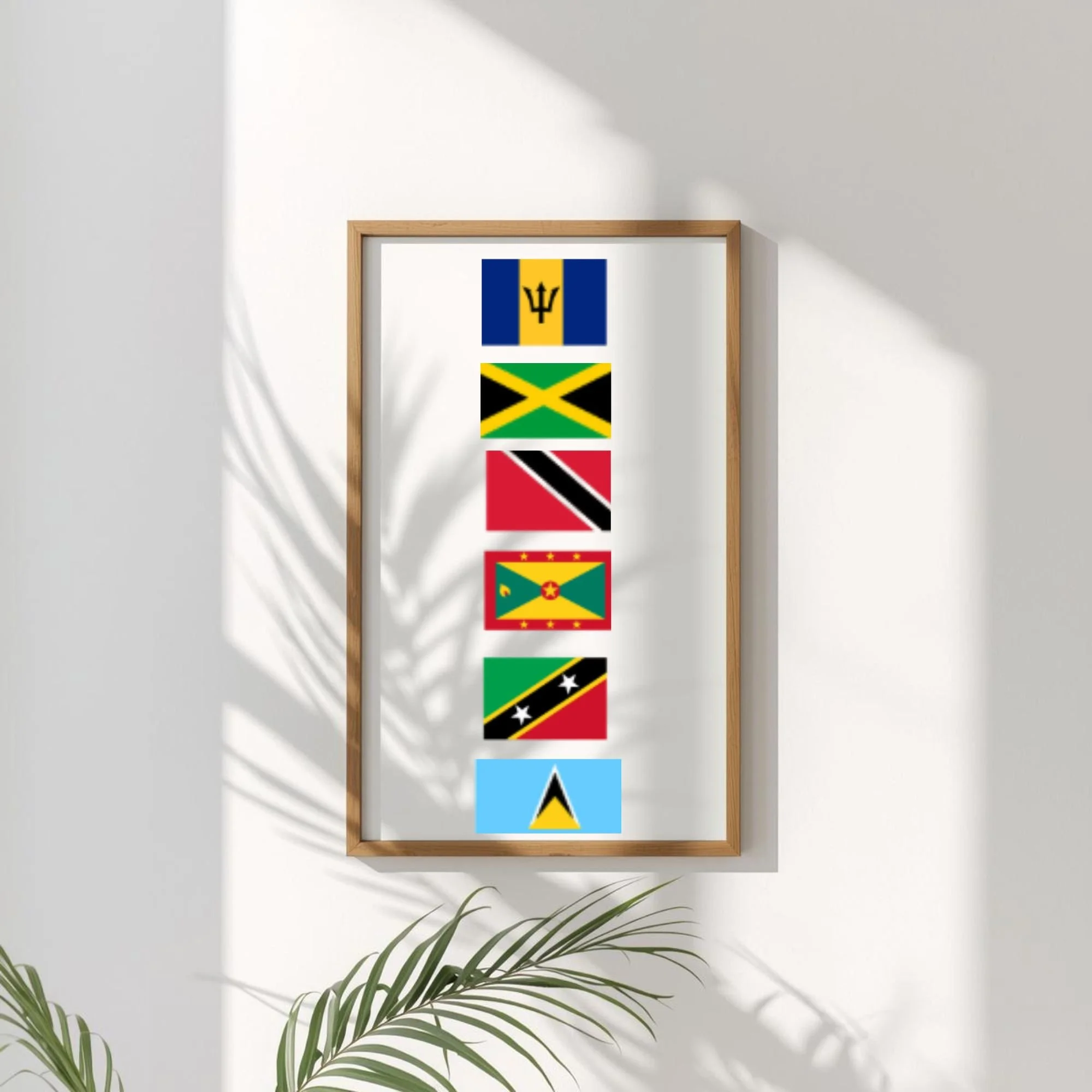 Display of seven Caribbean flags arranged vertically on a white wall with shadow of a plant, in a wooden frame.