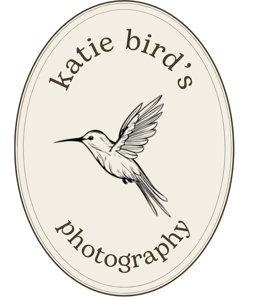 katie bird's photography