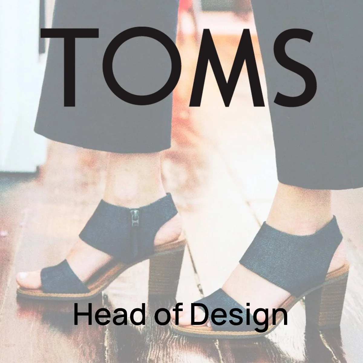 RoseWeb_TOMS.jpg