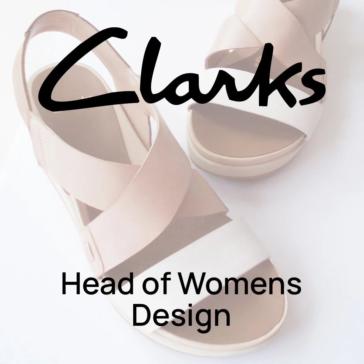 RoseWeb_CLARKS.jpg