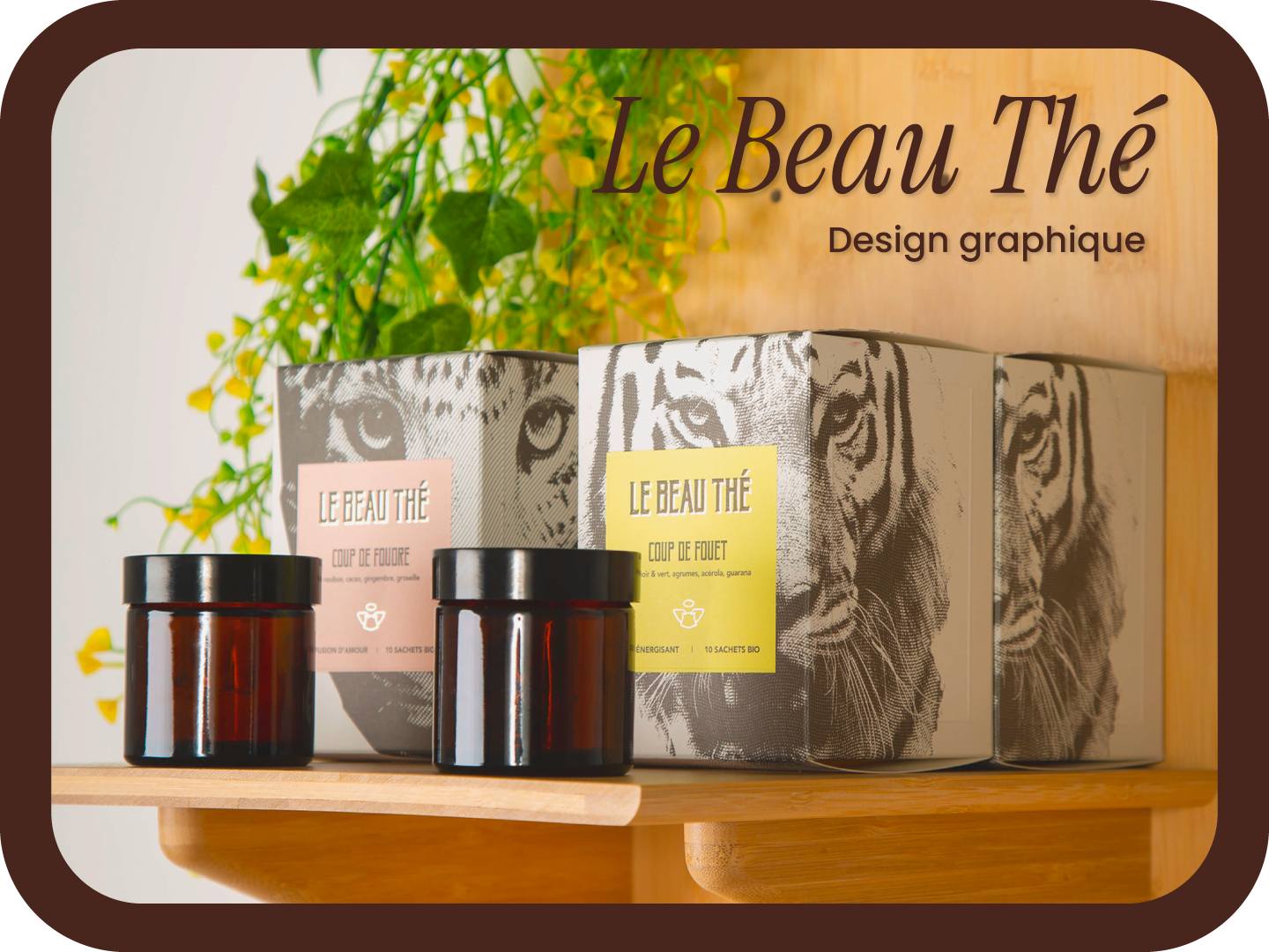 Boxes and jars of Le Beau Thé herbal tea on a wooden shelf with a plant in the background.