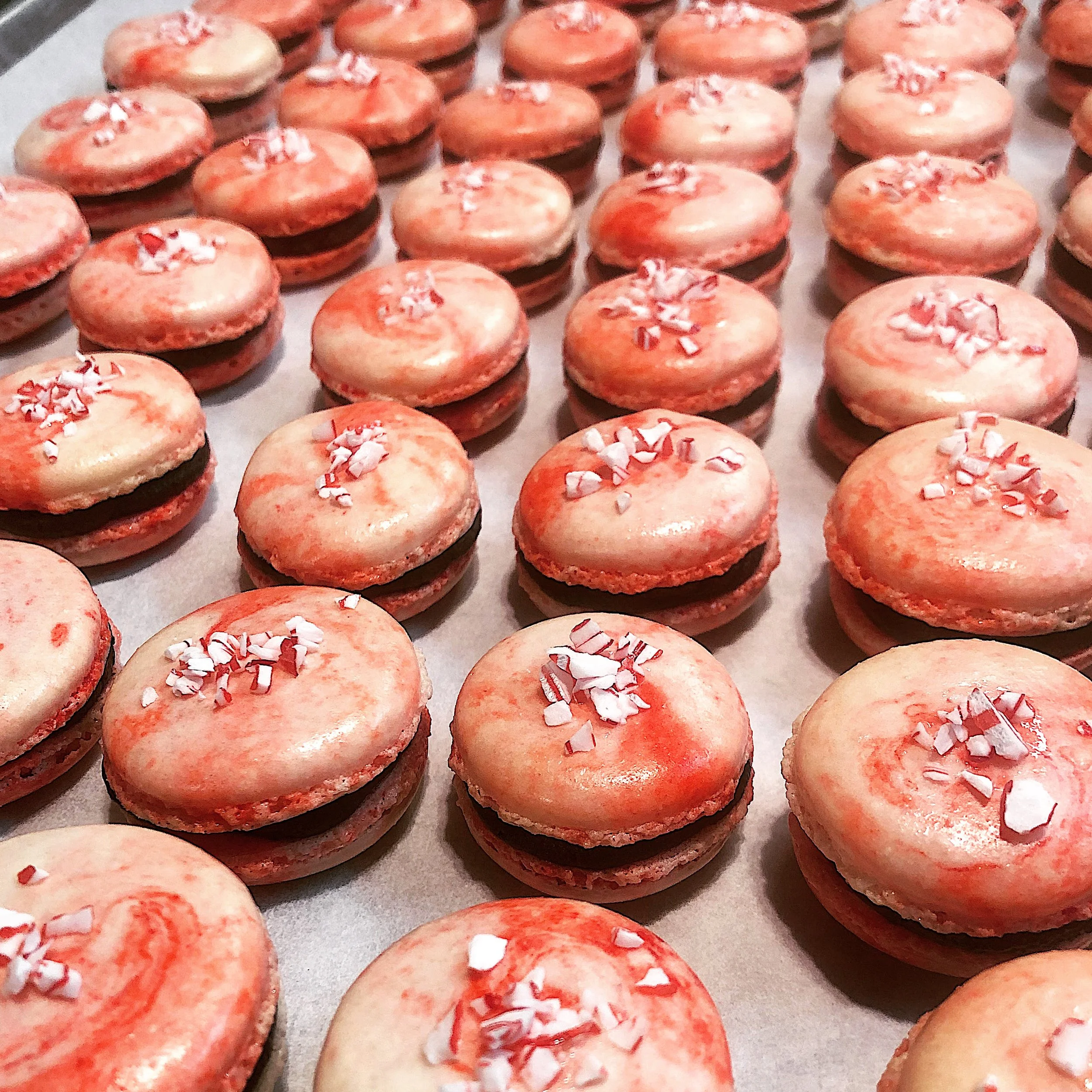 51C2C5AC-3E5C-40CB-96A4-D29D9CEE0EB4.JPG