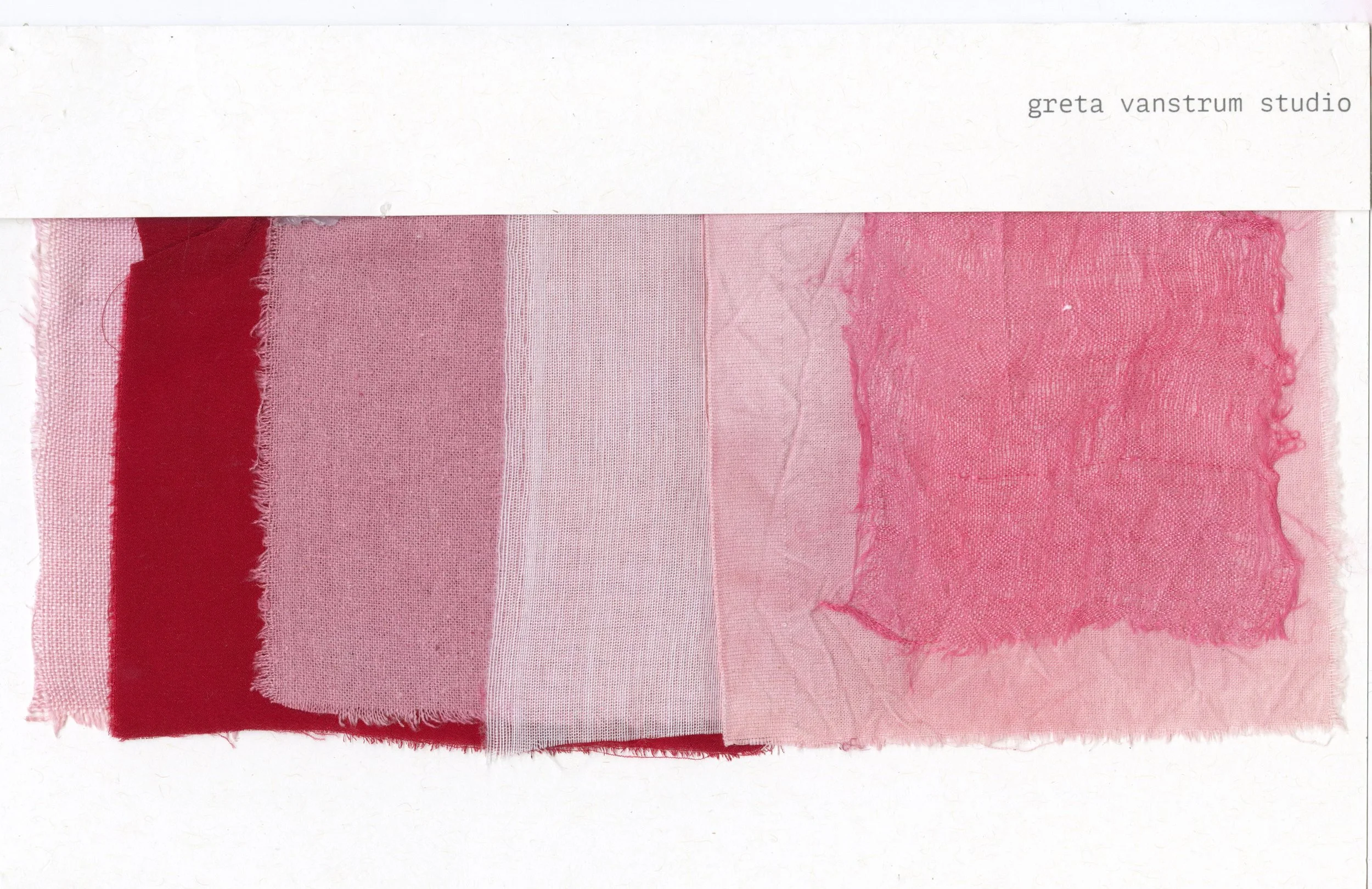 cochineal medium.jpg