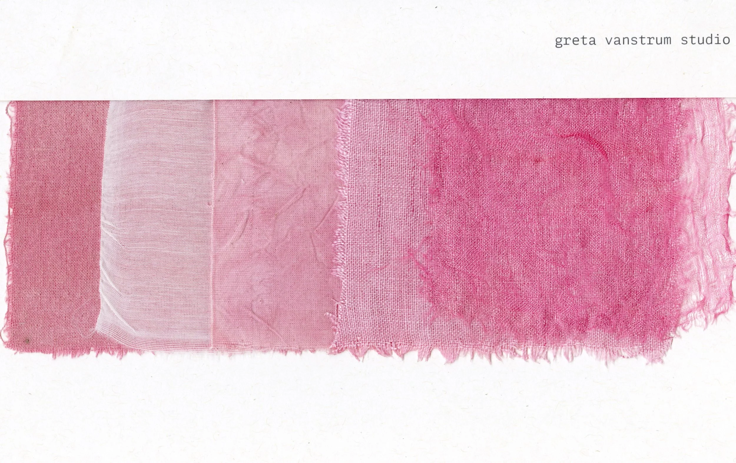 cochineal light.jpg