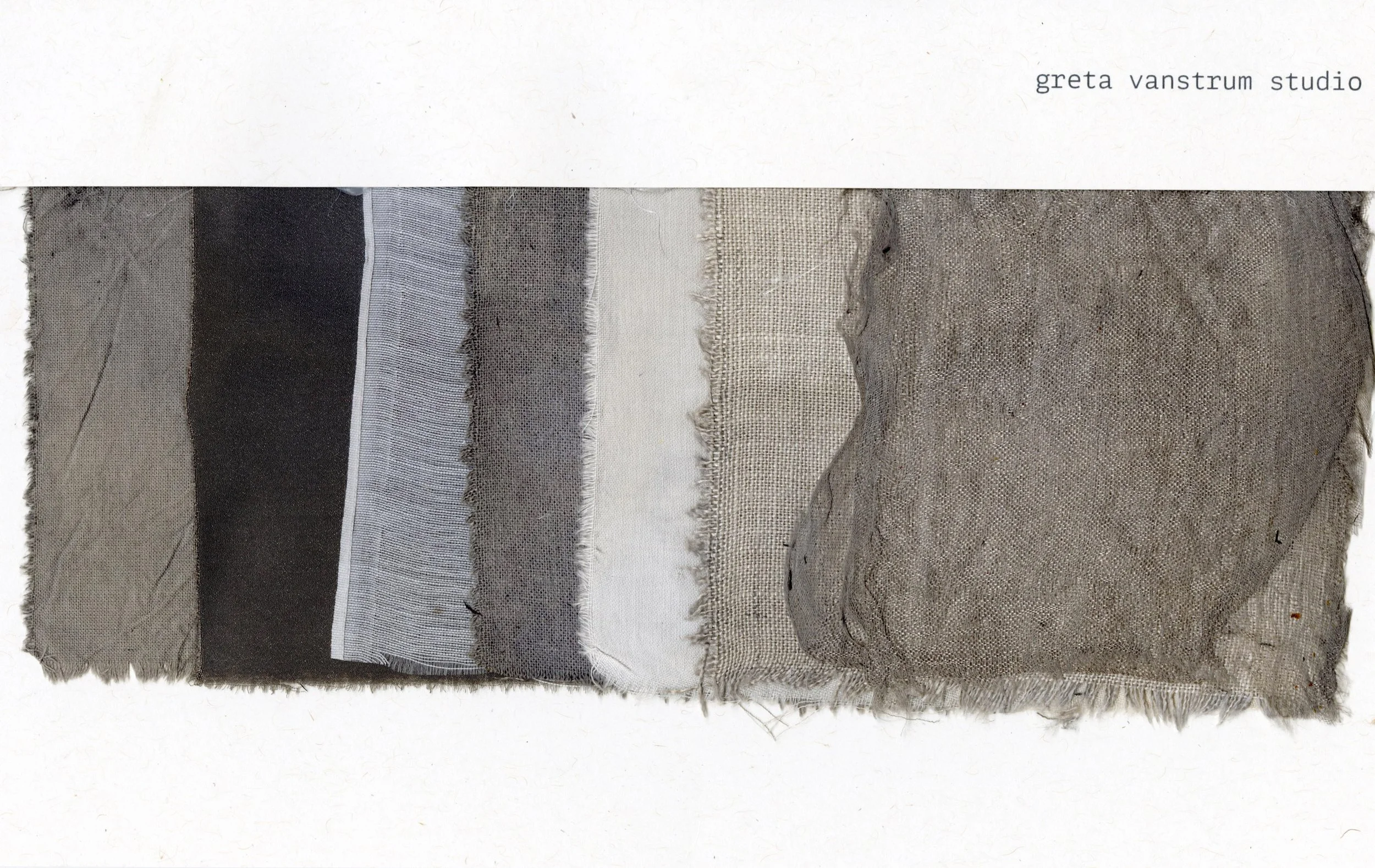 logwood shift to grey.jpg