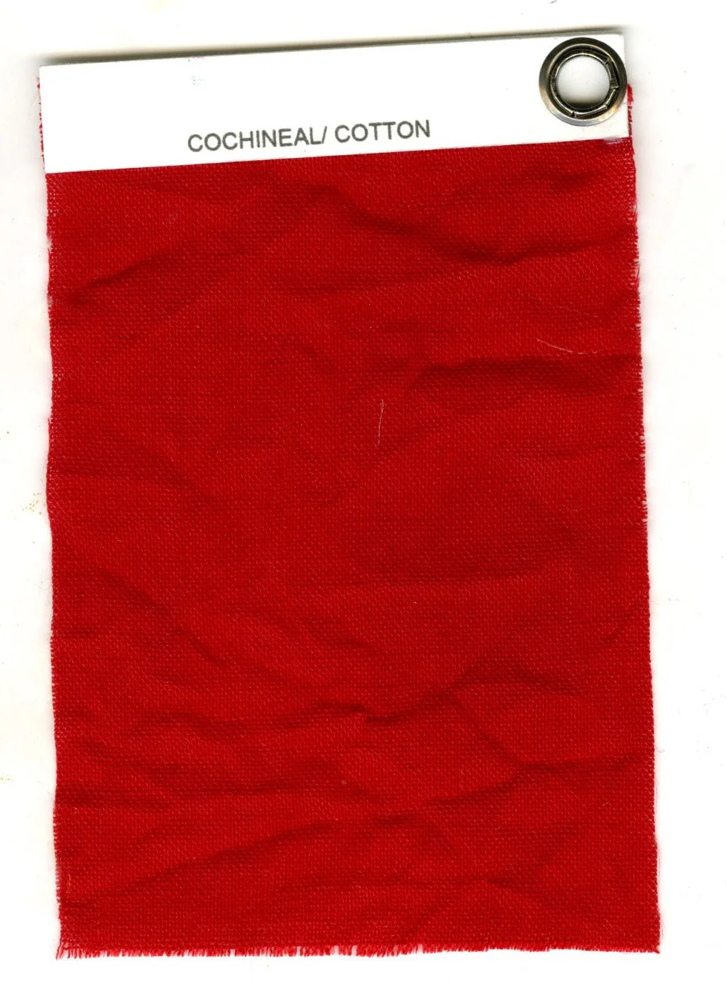 cochineal cotton.jpg
