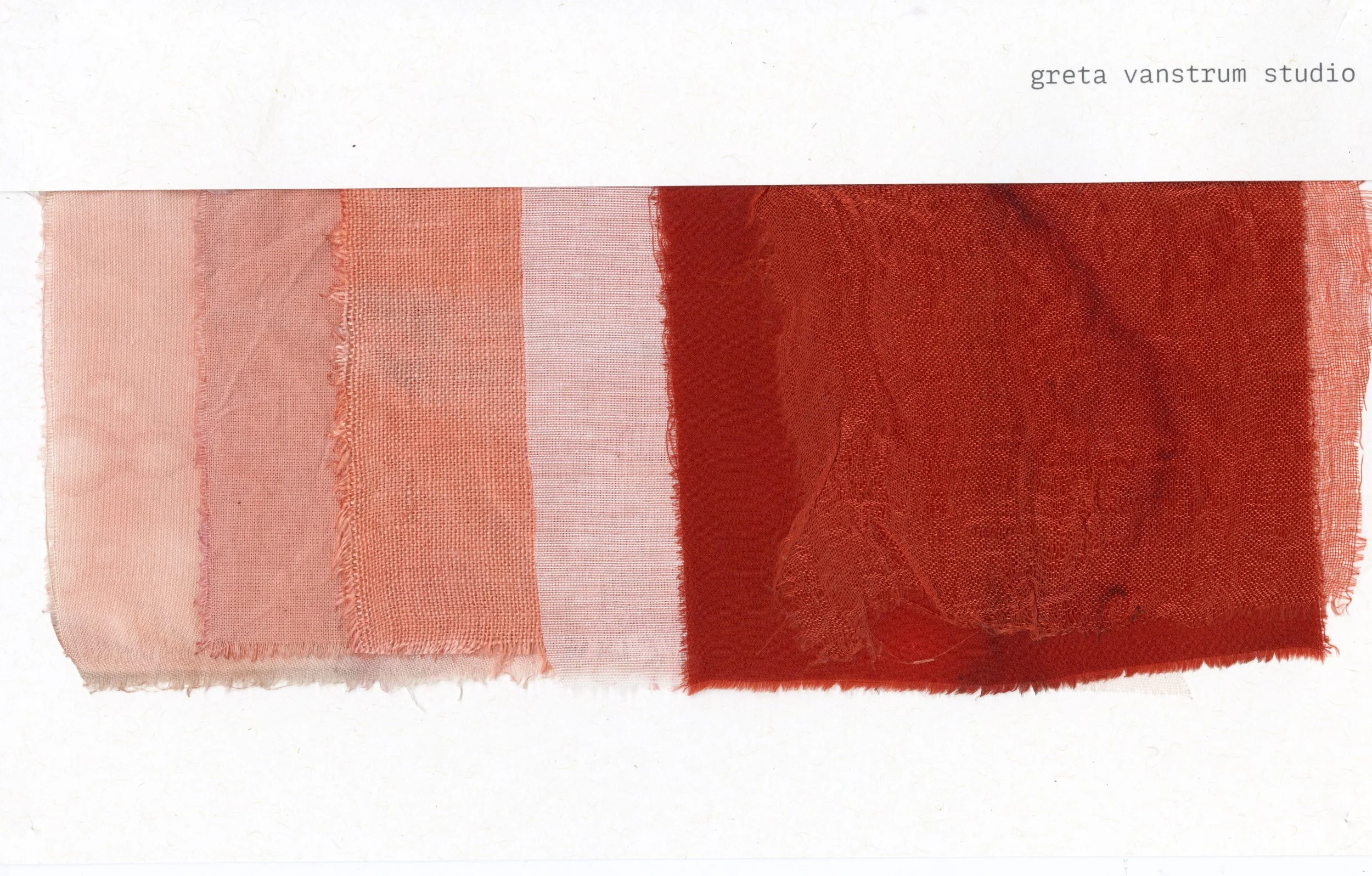 cochineal shift to orange.jpg