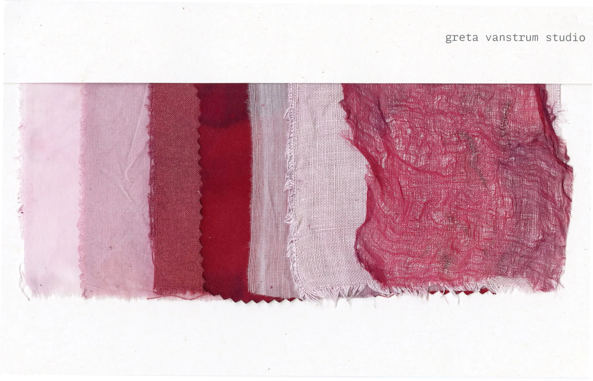 cochineal shift to red.jpg