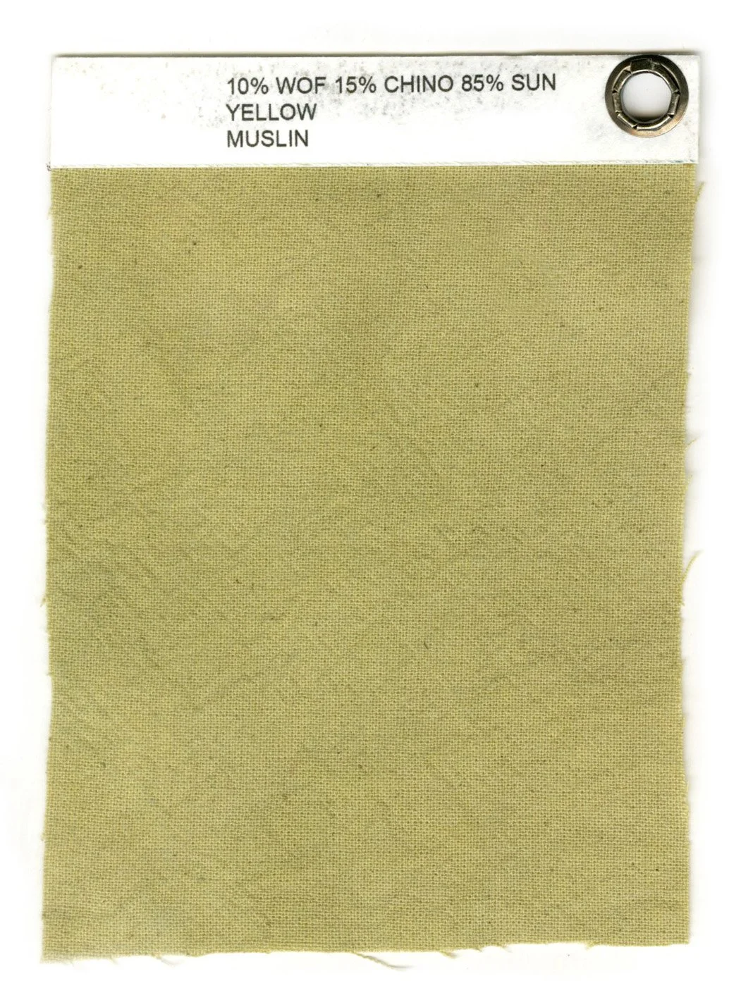 chino sy muslin.jpg