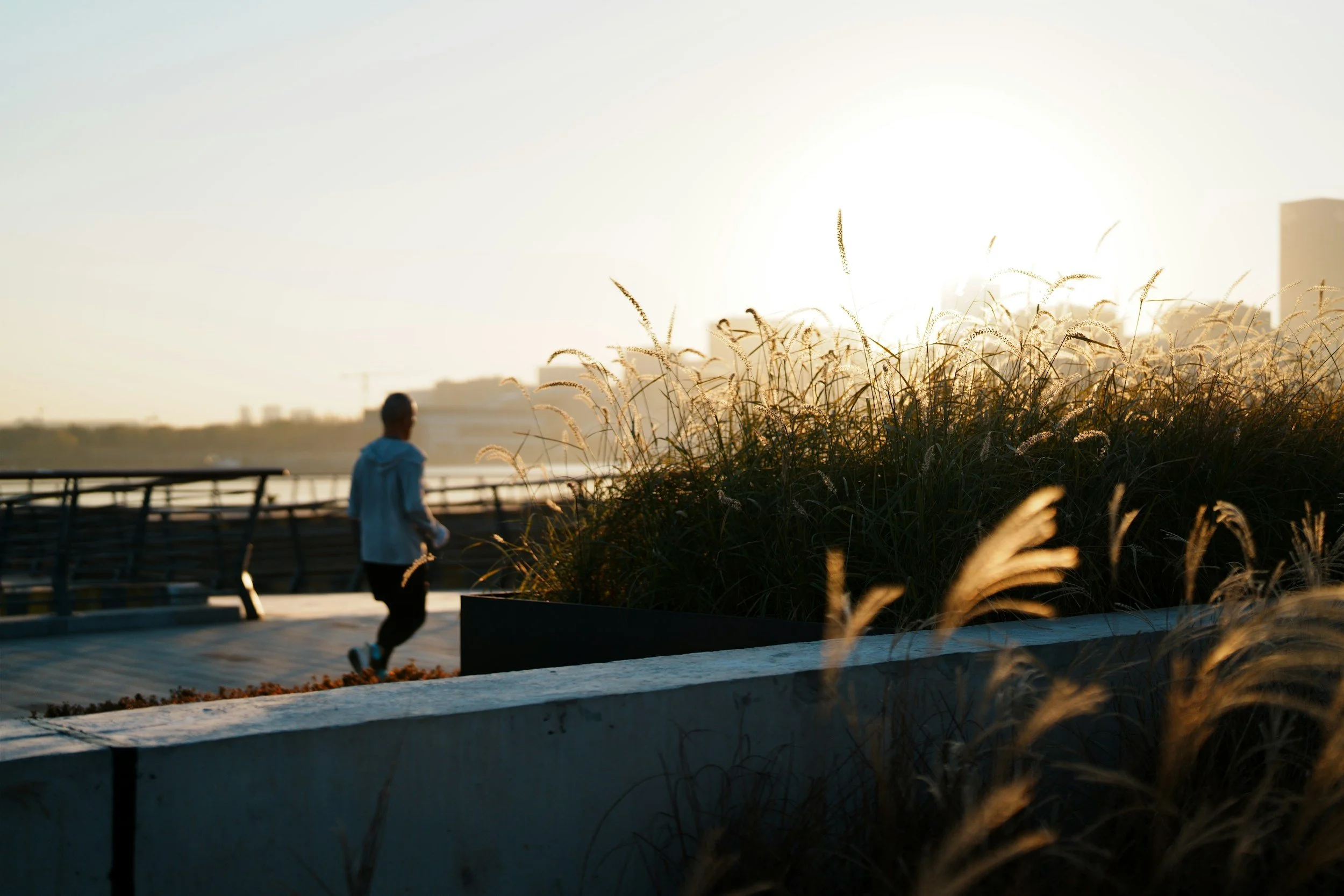 A person jogging on a paved path near a grassy area with tall plants, in front of a bright sunlit sky, during sunset or sunrise.