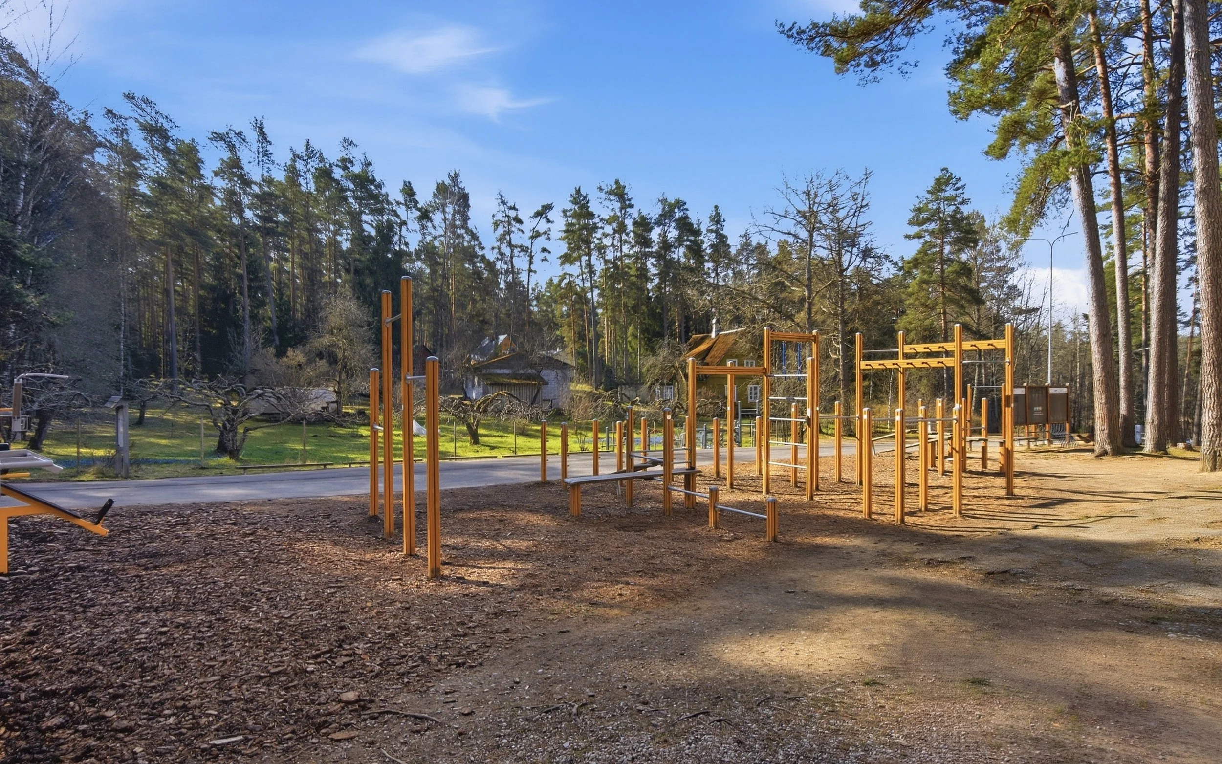 Park with outdoor fitness equipment and tall pine trees under a blue sky.