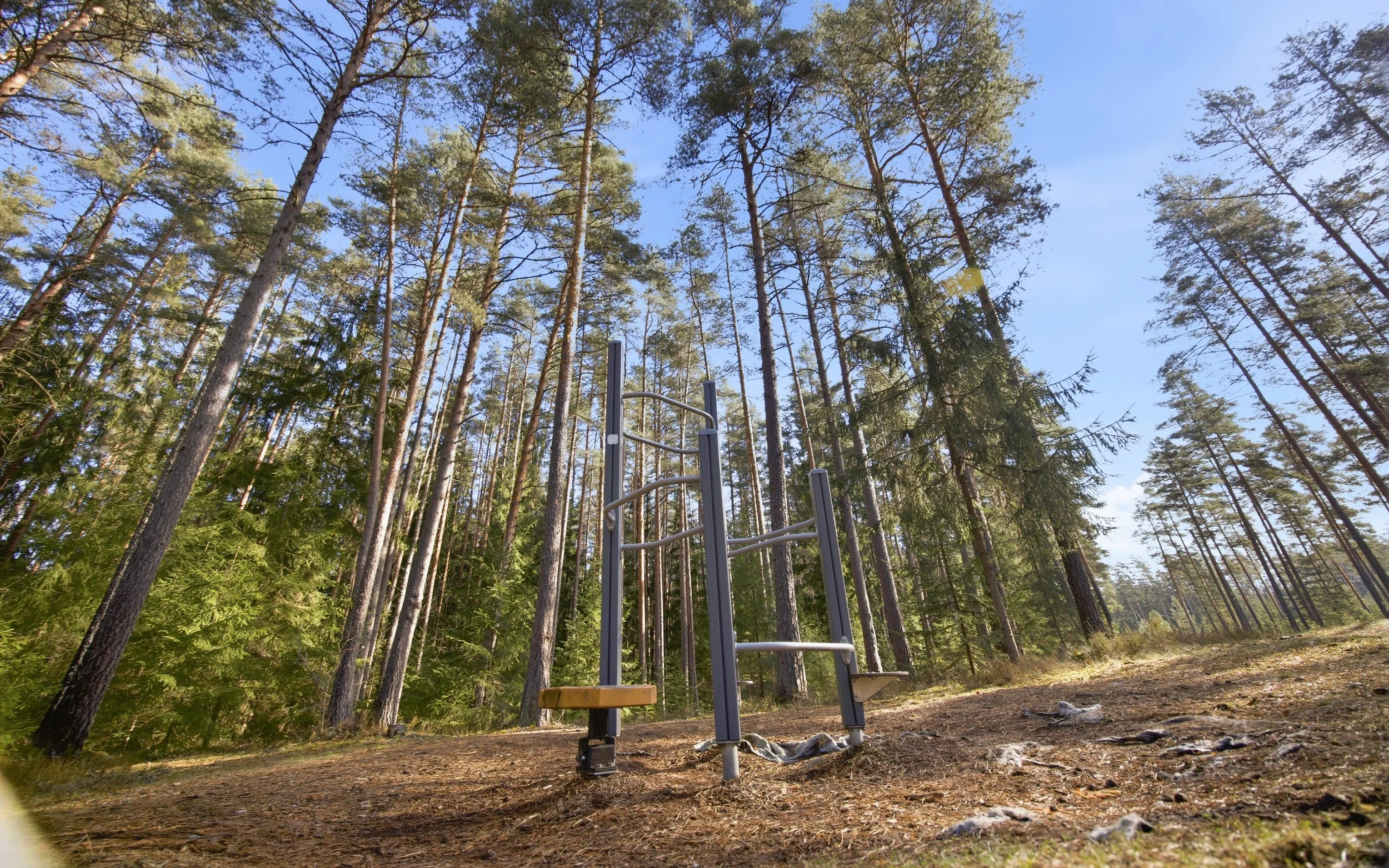 Outdoor gym equipment in a forest with tall trees and blue sky.