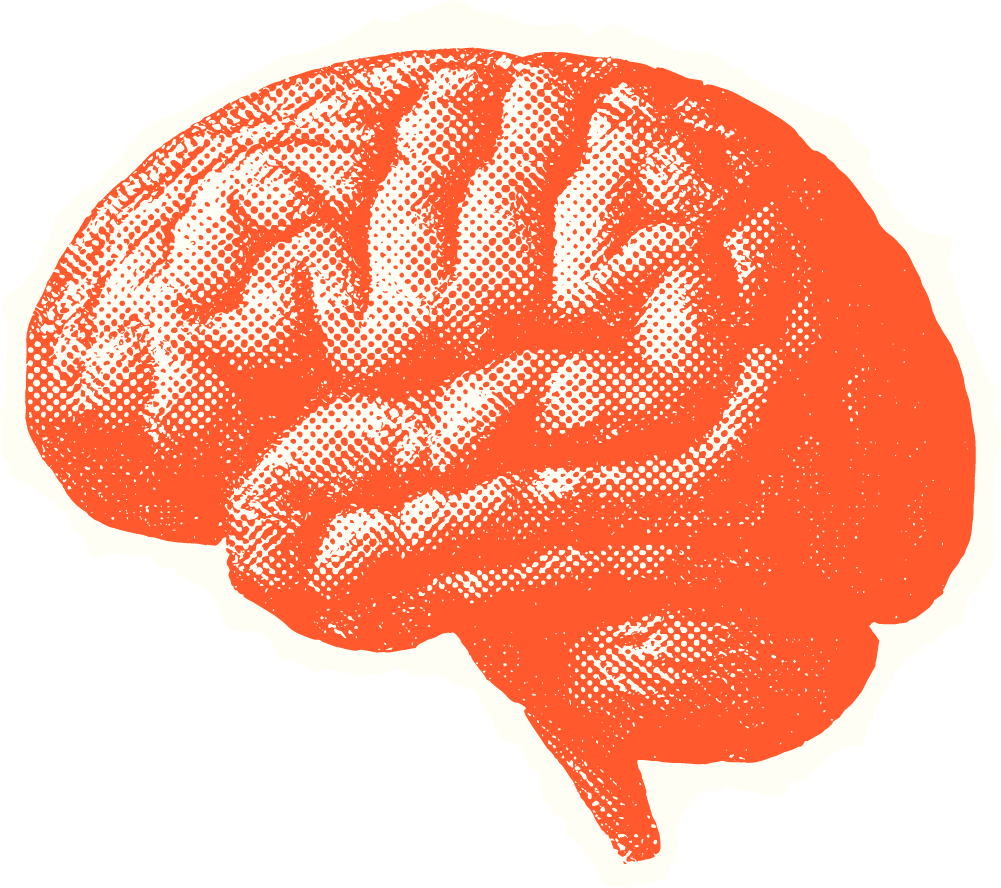 Sketch-style, halftone illustration of orange brain.