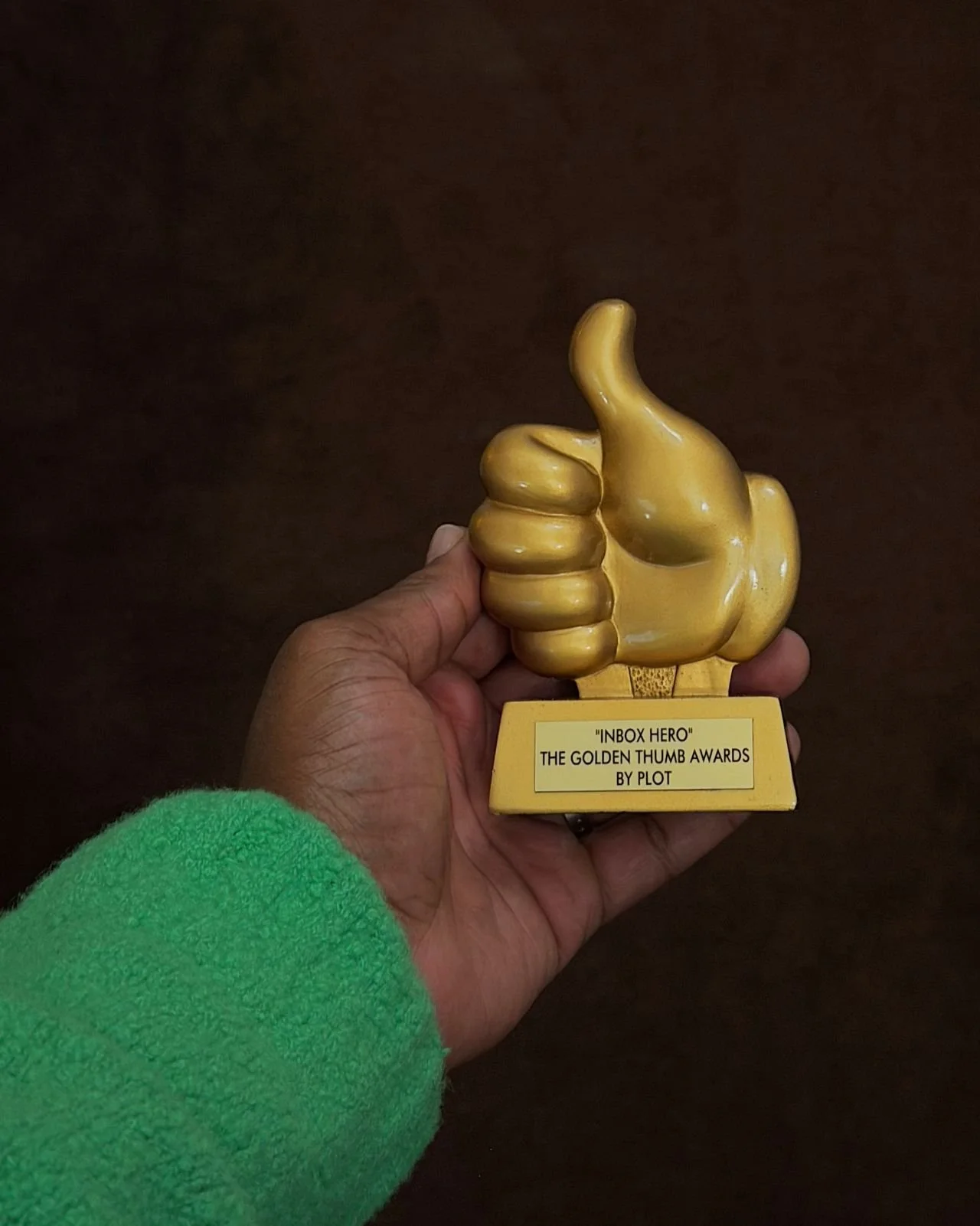 A hand in a green sleeve holds a golden thumbs-up award labeled 'Inbox Hero', The Golden Thumb Awards by Plot.