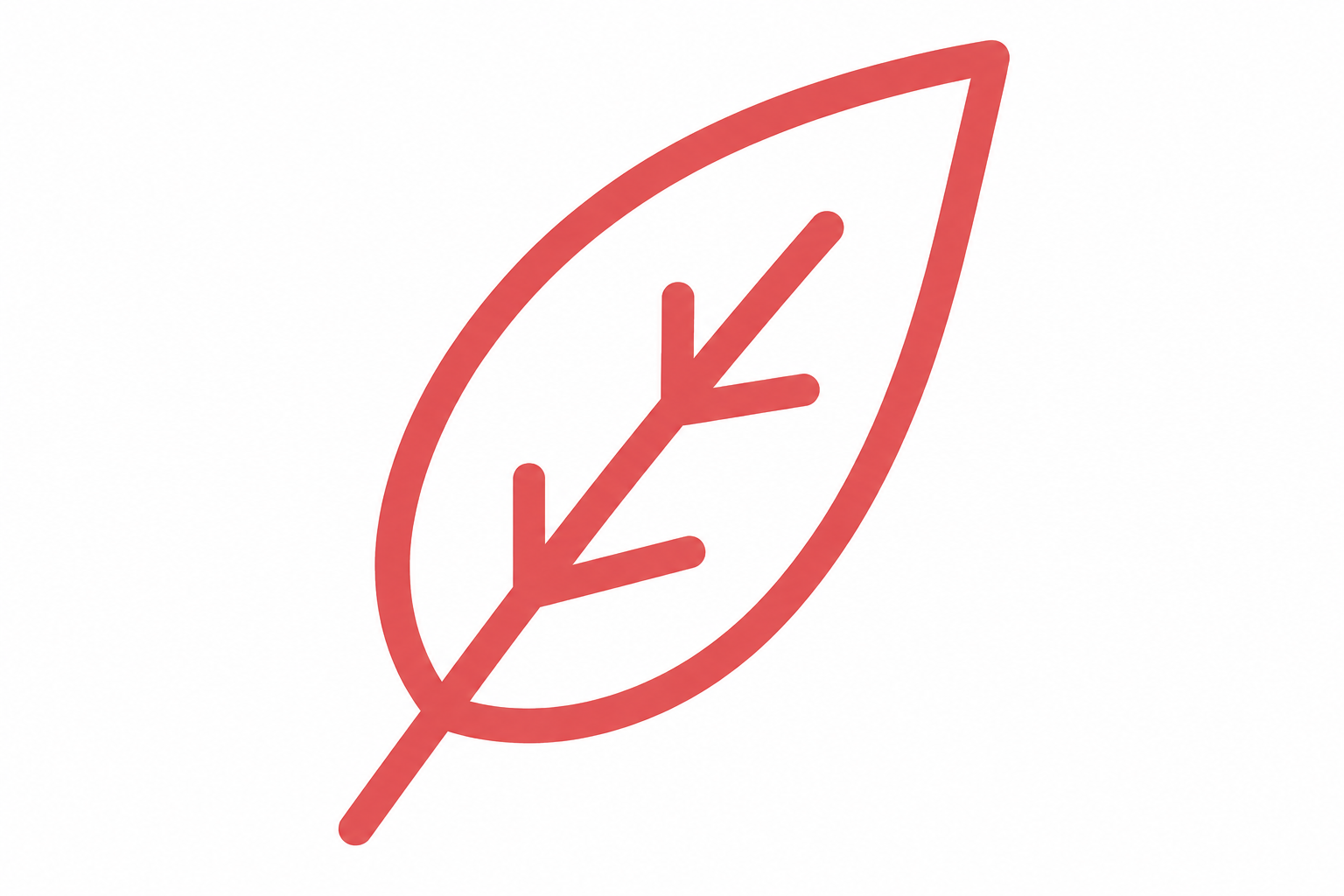 Red line drawing of a leaf with a central vein and two smaller branches.